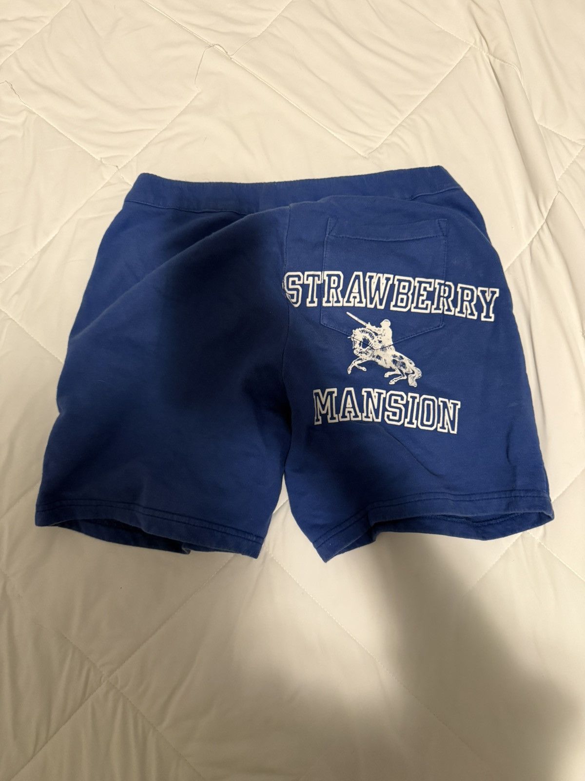 Unwanted Strawberry Mansion shorts Size US 30 / EU 46 - 2 Thumbnail