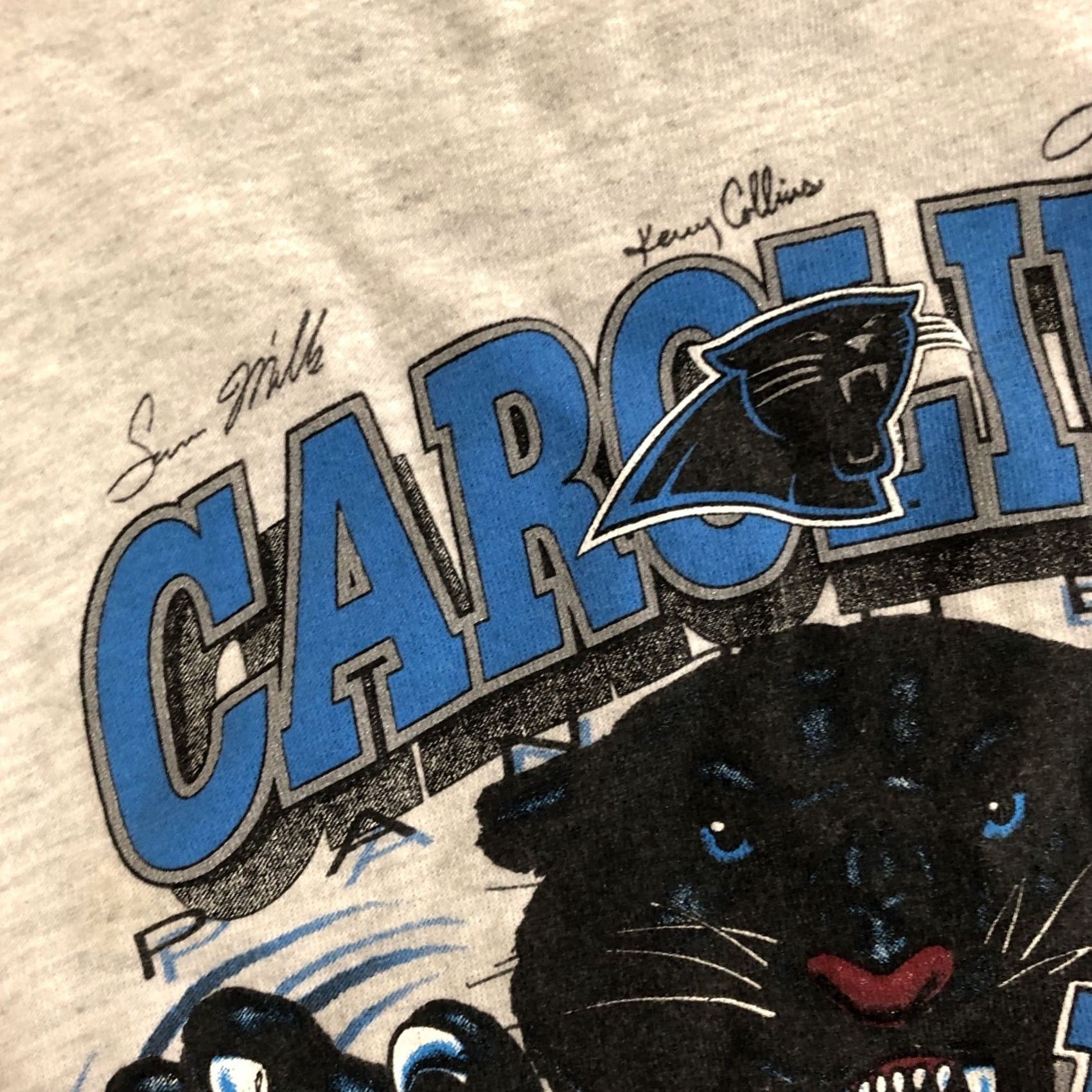 Lee 1996 Carolina Panthers Vintage NFL Sweatshirt XL USA Size US XL / EU 56 / 4 - 4 Thumbnail