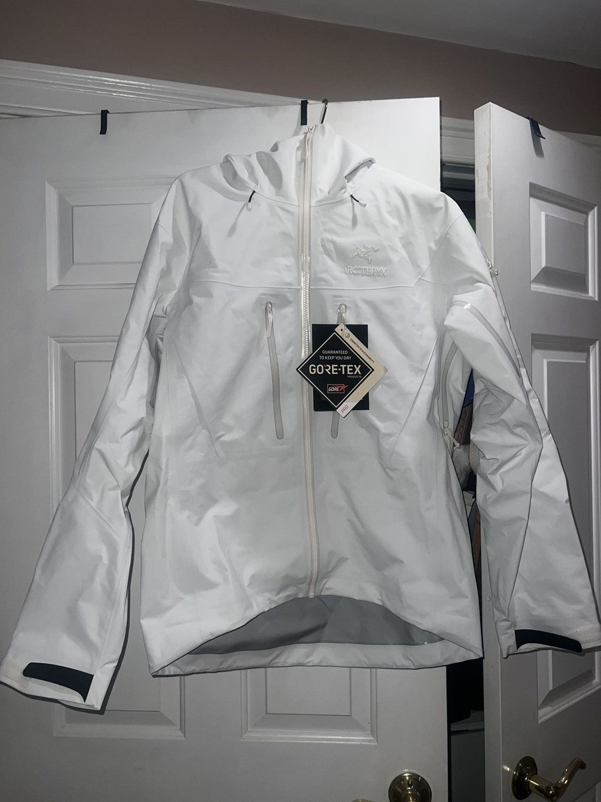 Arc'teryx NWT Arc'teryx Alpha SV Whiteout Size M | Grailed