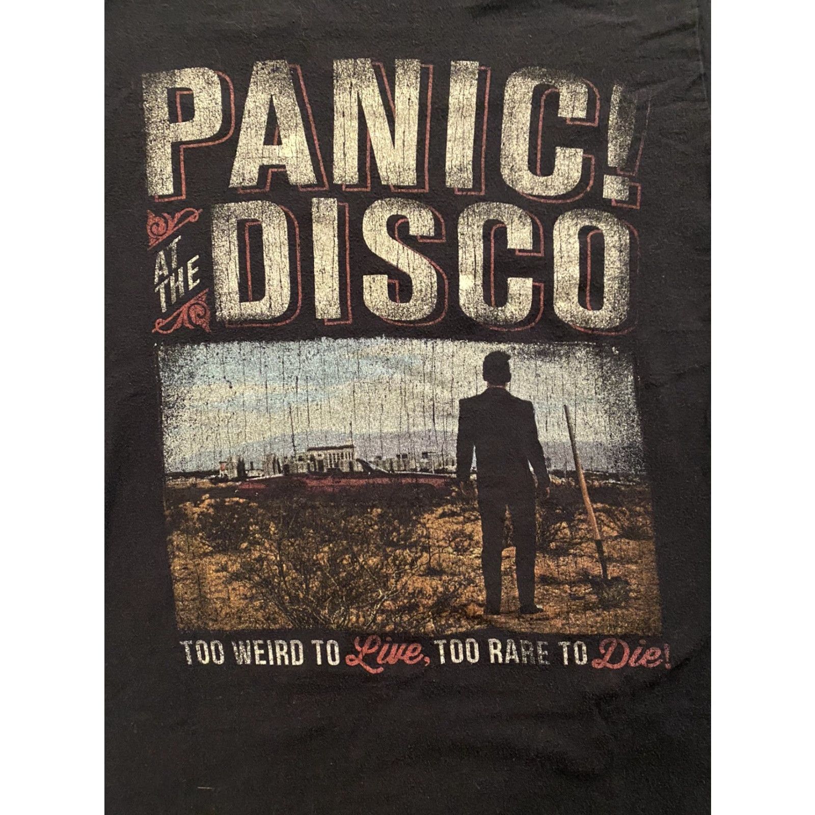 Tultex Panic! At The Disco Graphic Band T Shirt Too Weird To Live Small Men Black Cotton Tultex Short Sleeve Crew Neck Singers Rock Music Emo Shirt Size US S / EU 44-46 / 1 - 3 Thumbnail
