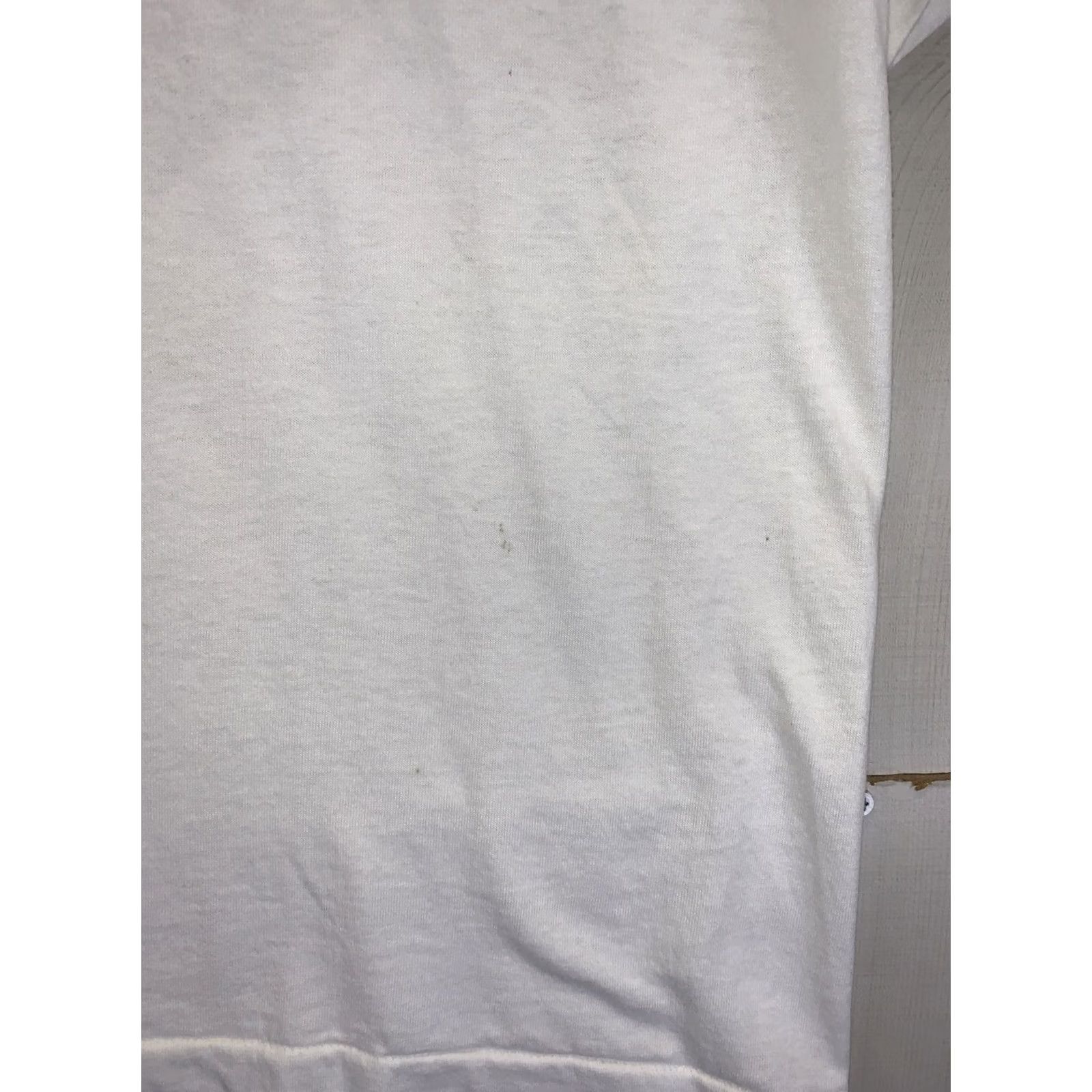Hanes VINTAGE I Survived The Blizzard Of 96 Graphic Tee Mens M White 1990s 8408 Size US M / EU 48-50 / 2 - 6 Thumbnail