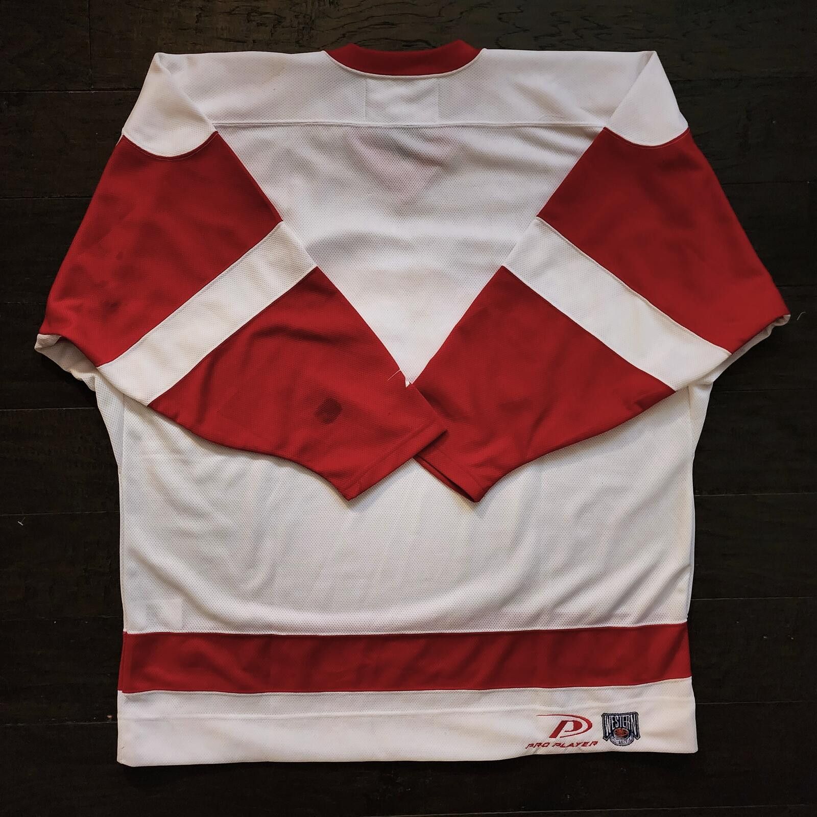 Pro Player Detroit Red Wings PRO PLAYER Hockey Jersey XL NHL Tupac '90s Size US XL / EU 56 / 4 - 4 Thumbnail
