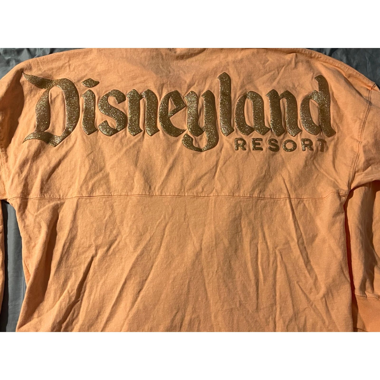 Disney Disney Spirit Jersey Coral Glitter Logo Resort Print Long Sleeve Size Medium Unisex Adults Disney T-Shirt Crew Neck Glitter Logo Resort Print Size US M / EU 48-50 / 2 - 6 Thumbnail