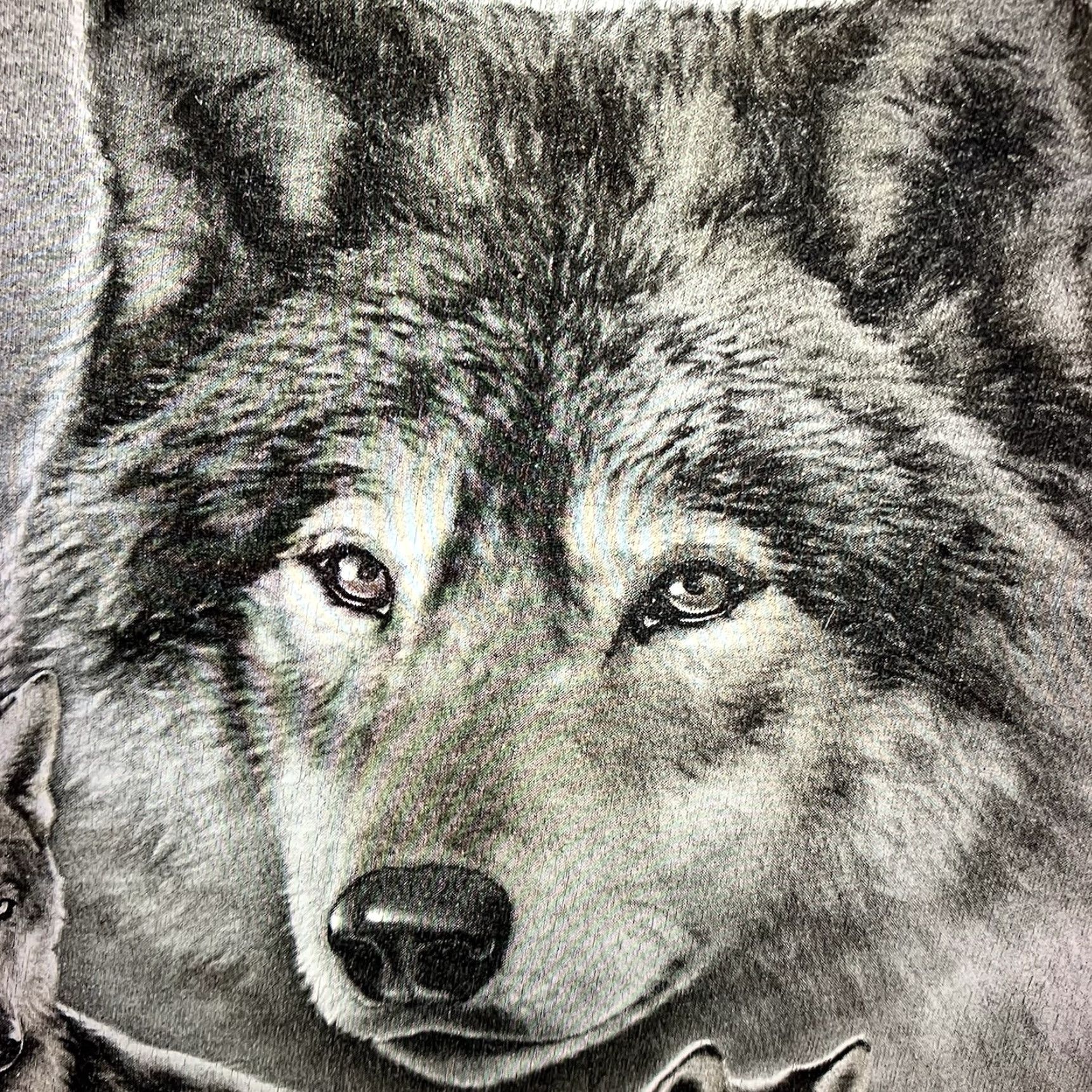 Vintage VINTAGE DOM Wolf Pack T-Shirt Adult Small Gray Graphic Print Nature Retro Outdoor Mens Size US S / EU 44-46 / 1 - 5 Thumbnail