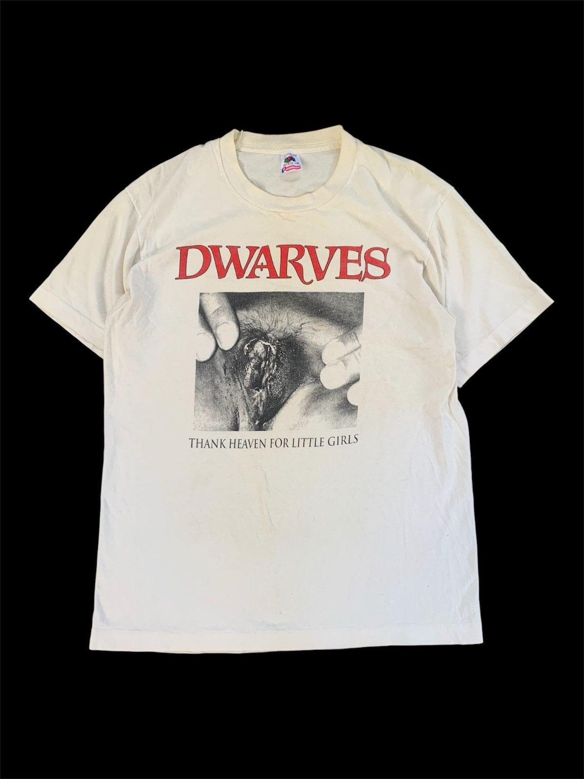 DWARVES 90s ビンテージ Tシャツ ドワーブス バンドT EE Dwarves Band 