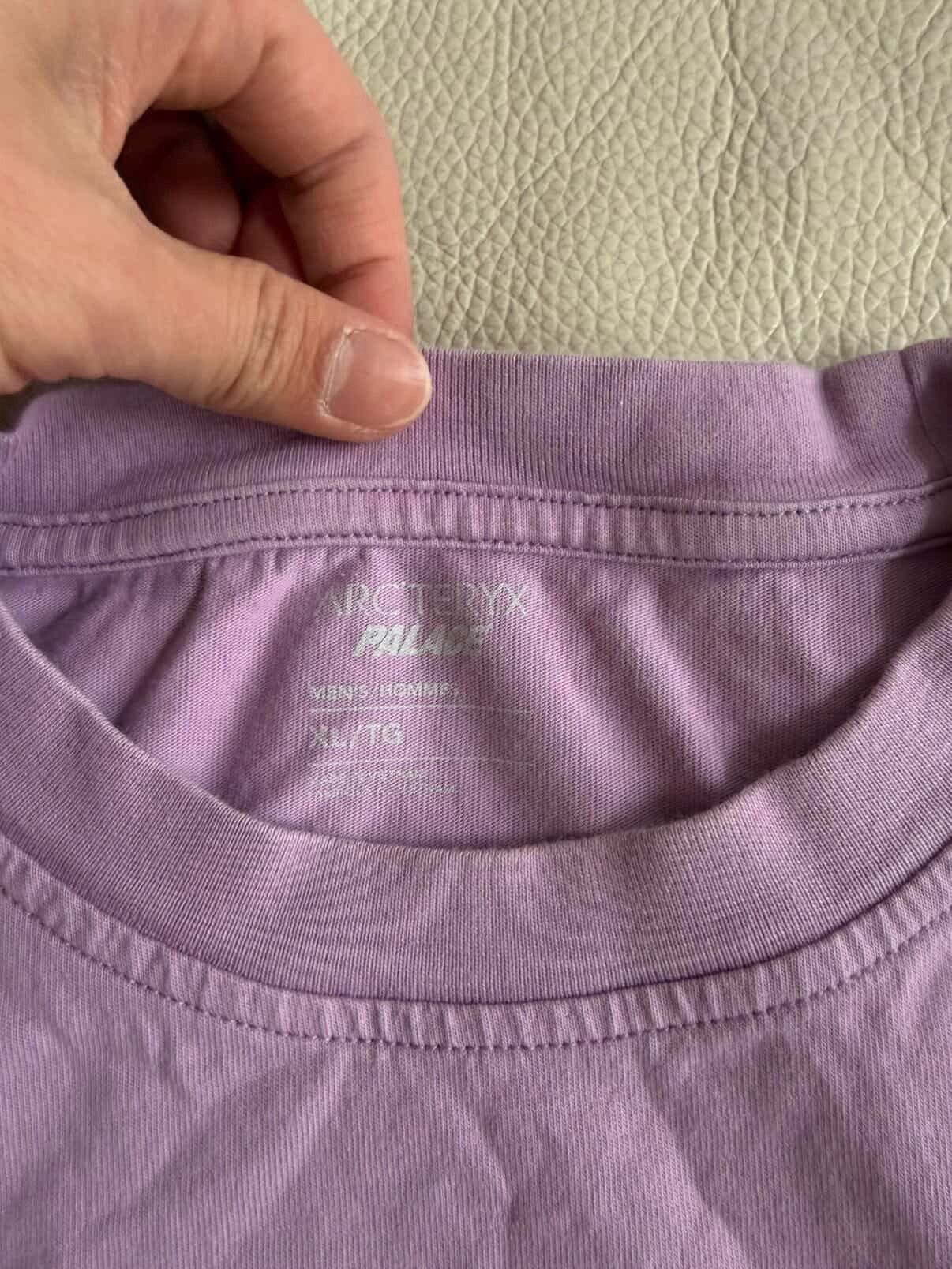Arc'teryx × Palace Palace Arcteryx Tri Ferg Tee Size US XL / EU 56 / 4 - 2 Thumbnail
