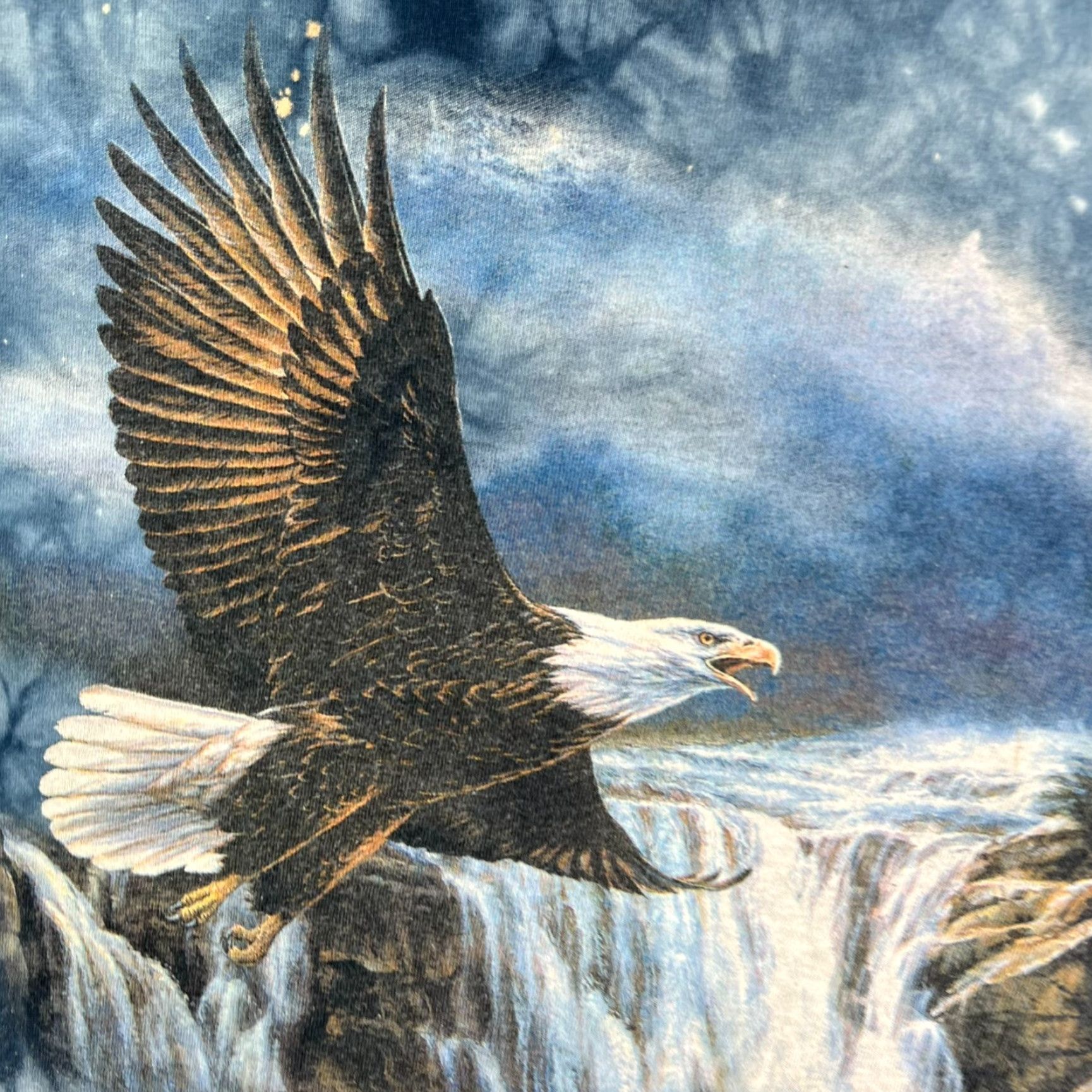The Mountain VINTAGE The Mountain Men's T-Shirt Adult Large Blue Animal Print Crew Neck Short Sleeve All Seasons Nature Eagle 2000s Size US L / EU 52-54 / 3 - 2 Thumbnail