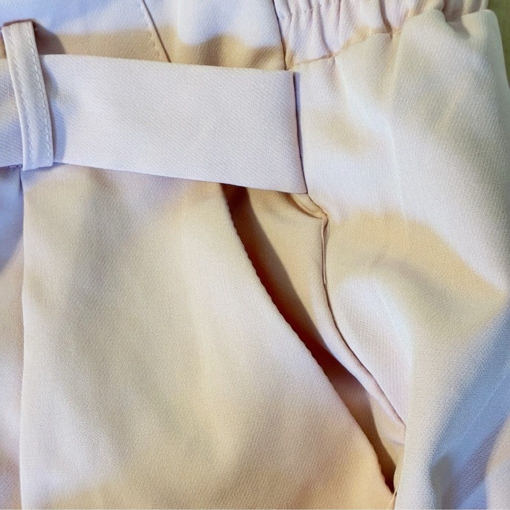 Urban Heritage Urban Heritage Pastel Pink Relaxed Fit Dress Pants; Small Size 27" / US 4 / IT 40 - 10 Thumbnail