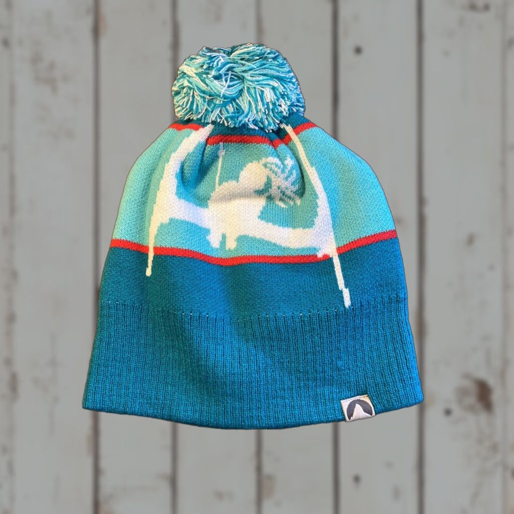 Vintage Cirque Beanie Unisex Fly Like an Eagle Green One Size Ski Freestyle Apres Mens Womens Boys Girls Size ONE SIZE - 1 Thumbnail