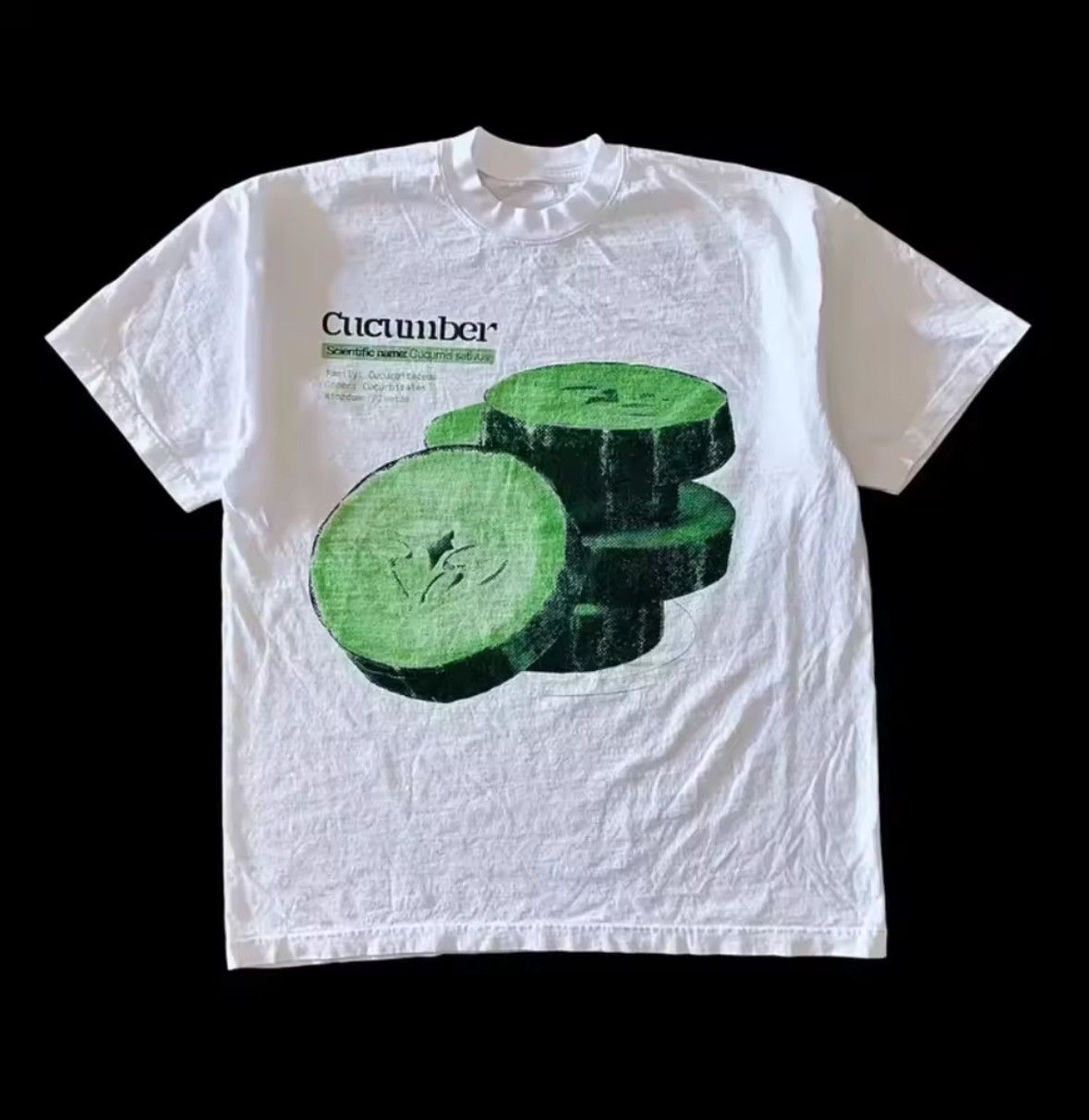 Other Street Retro Y2K Fresh Cucumber Slides Slim T-Shirt Size US L / EU 52-54 / 3 - 1 Thumbnail