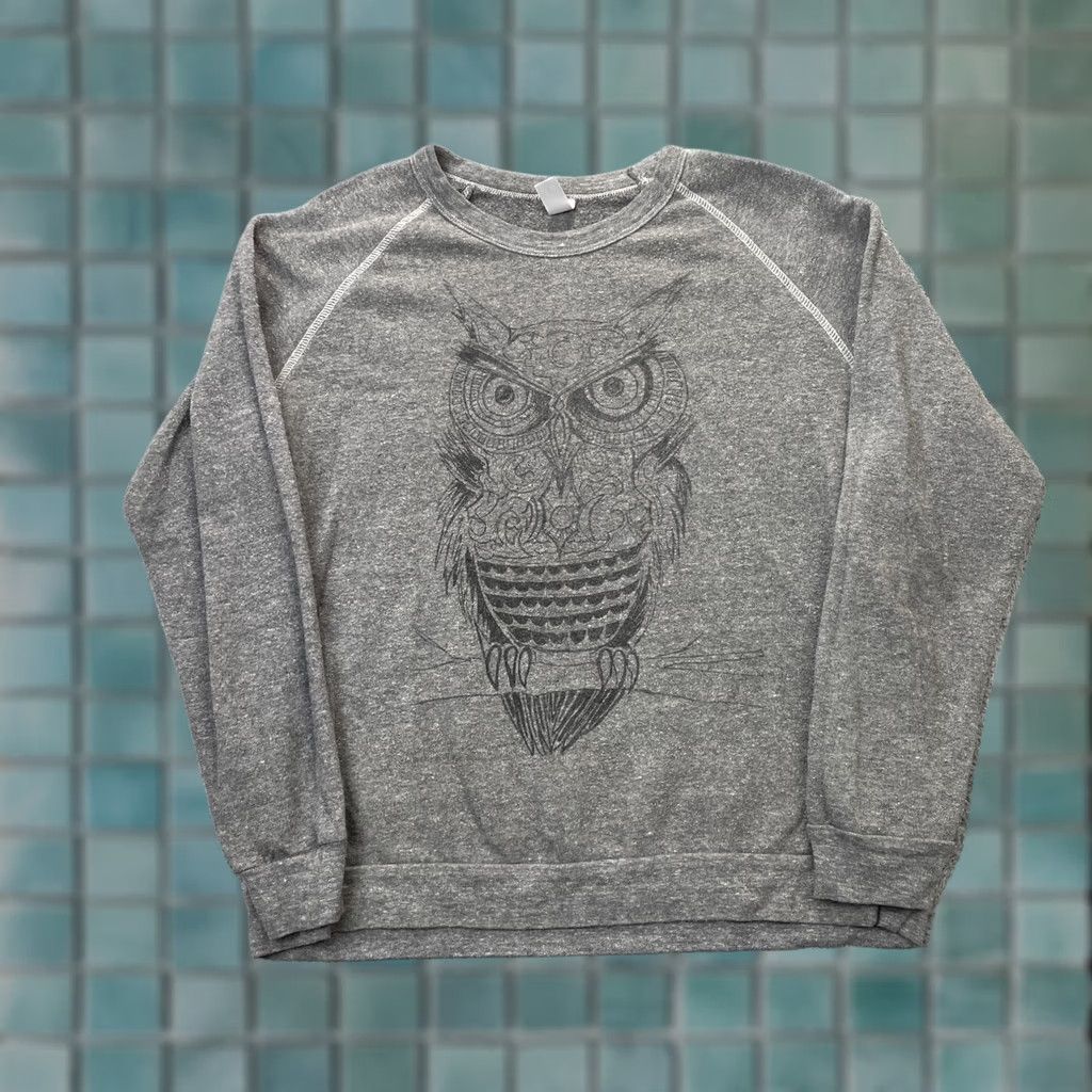 Vintage Owl Sweatshirt Mens Large Gray Heathered Graphic Print Fleece Lined Bohemian Size US L / EU 52-54 / 3 - 1 Thumbnail