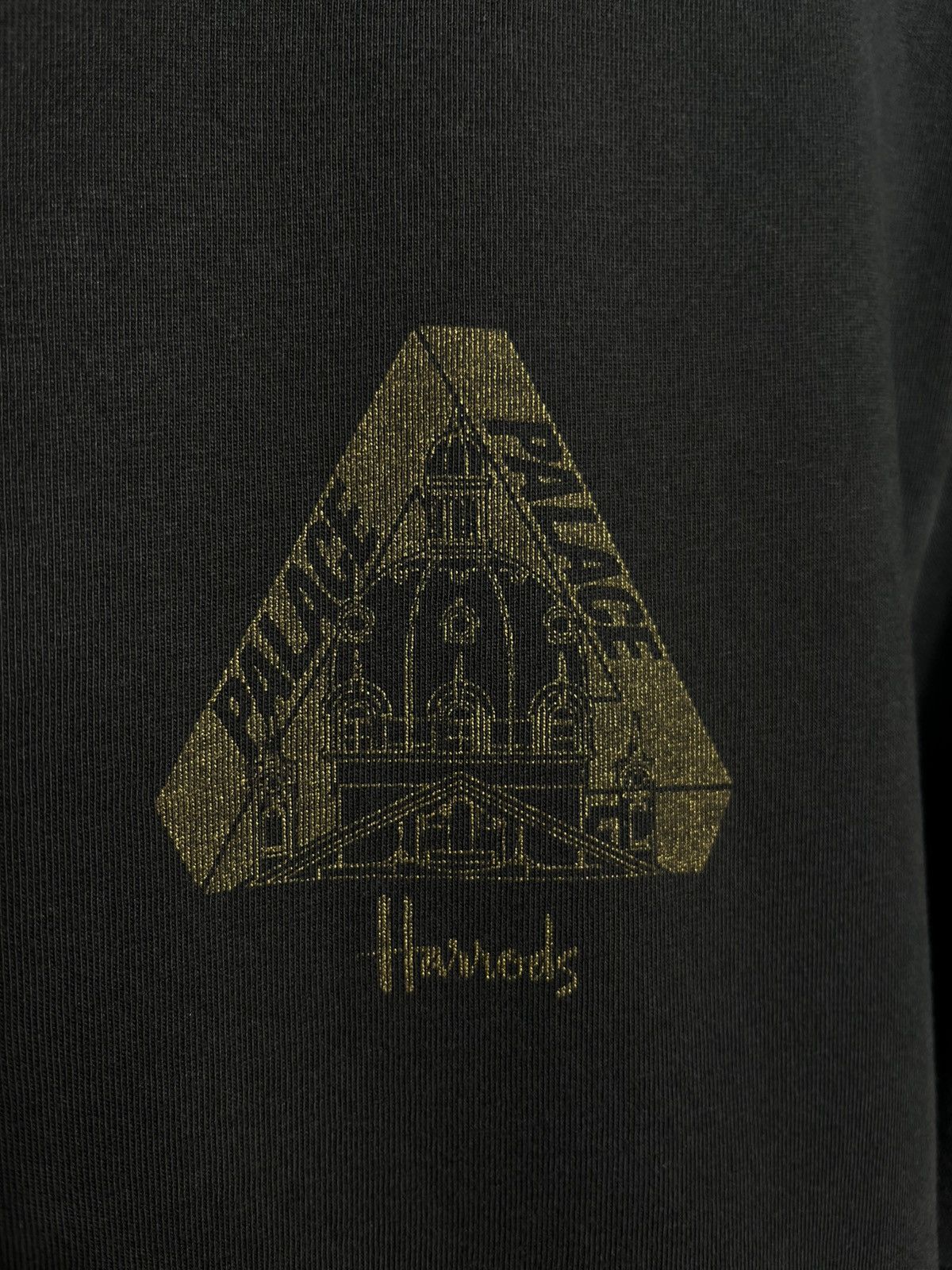 Palace Palace x Harrods Logo T-shirt Mens Short Sleeve Size US S / EU 44-46 / 1 - 3 Thumbnail