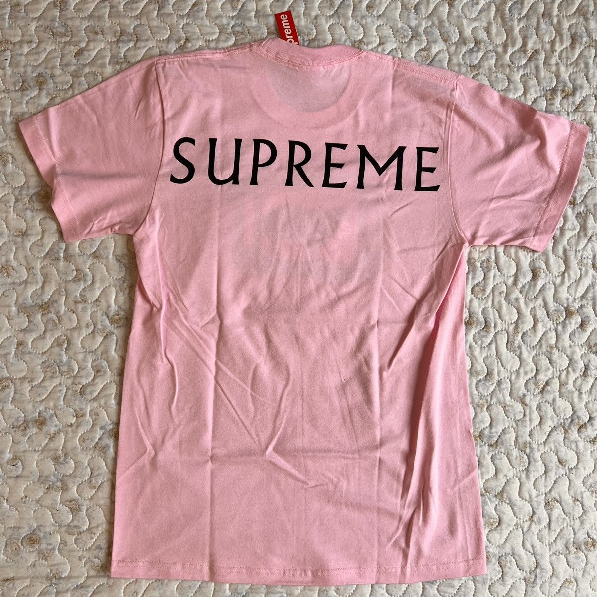 Damien Hirst Supreme Goat Tee Supreme Damien Hirst Goat Tee Light Pink