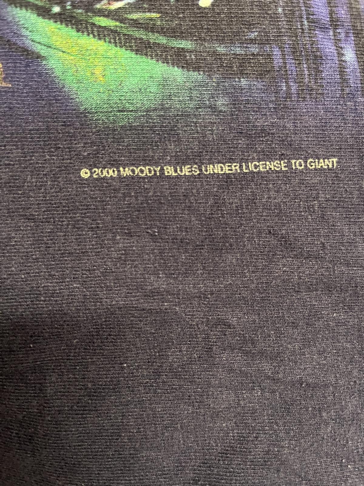 Delta Vintage The Moody Blues T-shirt Tour 2002 USA Tour Shirt - M Size US M / EU 48-50 / 2 - 5 Thumbnail