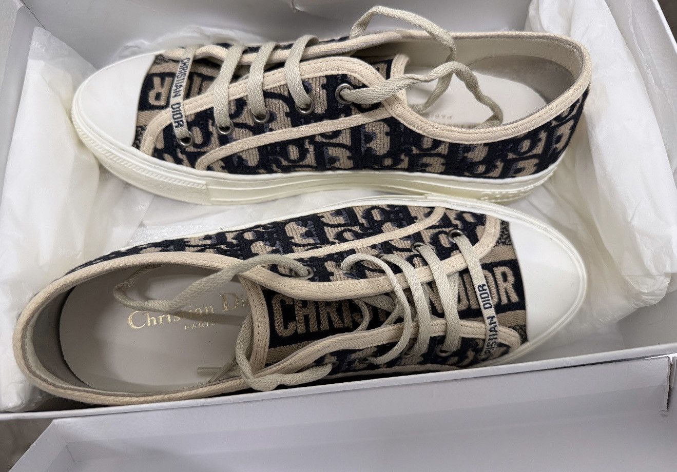 Dior Walk'n'Dior Sneaker Size US 9 / IT 39 - 1 Thumbnail
