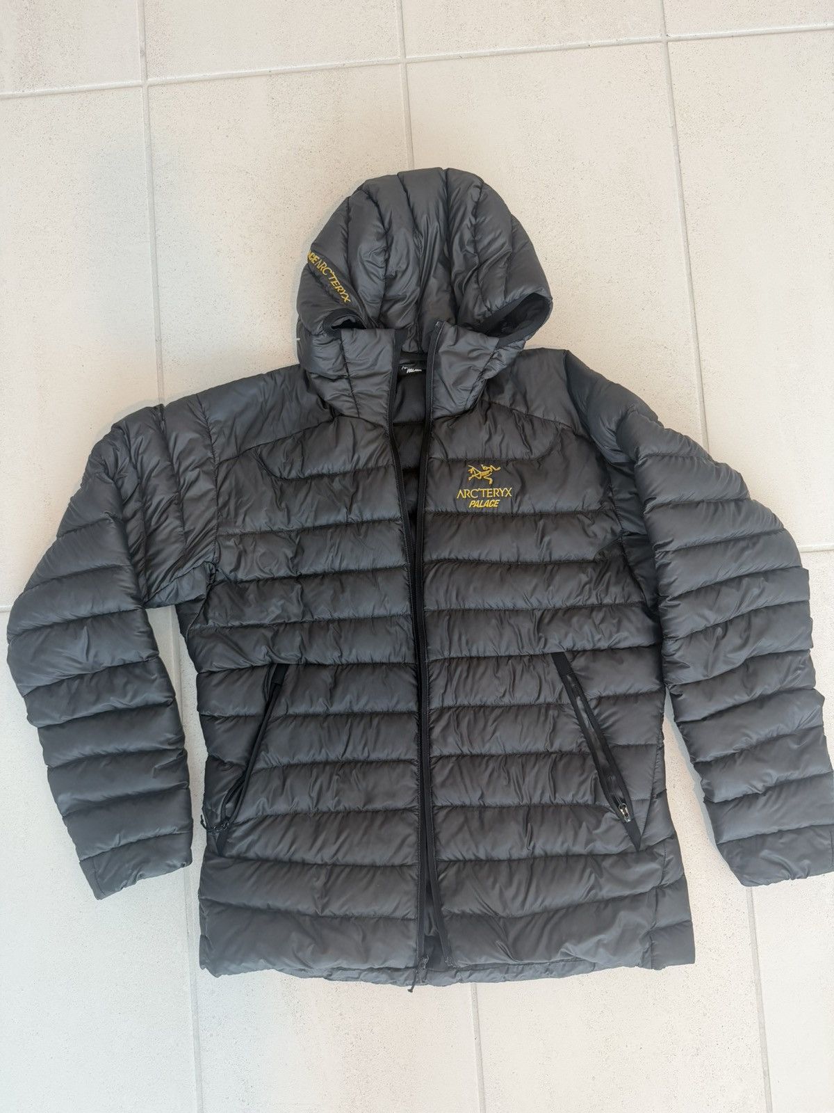 Arc'teryx × Palace Palace x Arcteryx Down Jacket Size US M / EU 48-50 / 2 - 1 Thumbnail