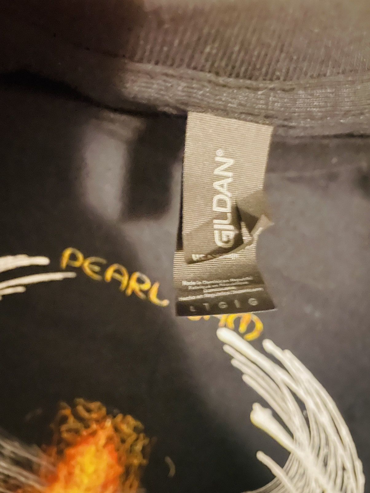 Gildan × Vintage Pearl Jam concert tee Size US L / EU 52-54 / 3 - 6 Thumbnail