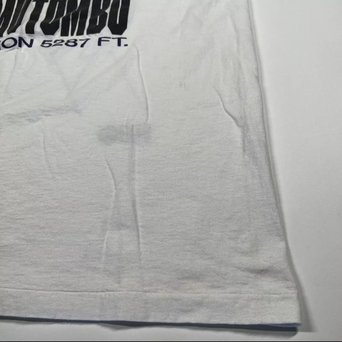 Fruit Of The Loom DIKEMBE MOTOMBO SINGLE STITCH 90s vintage autograph tee Size US XL / EU 56 / 4 - 6 Thumbnail