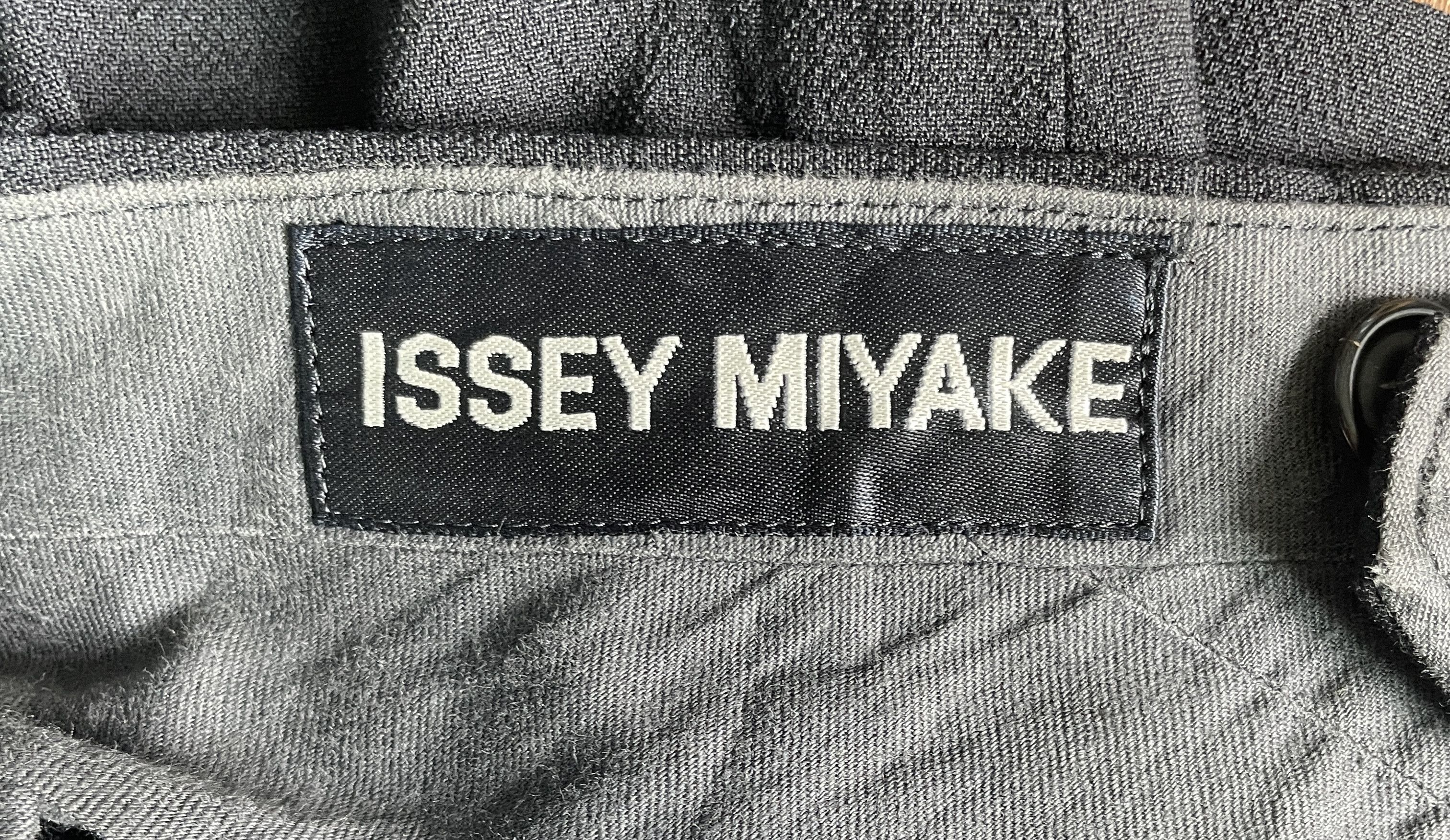 Homme Plisse Issey Miyake Issey Miyake Rayon Classic Pant Size US 30 / EU 46 - 8 Thumbnail