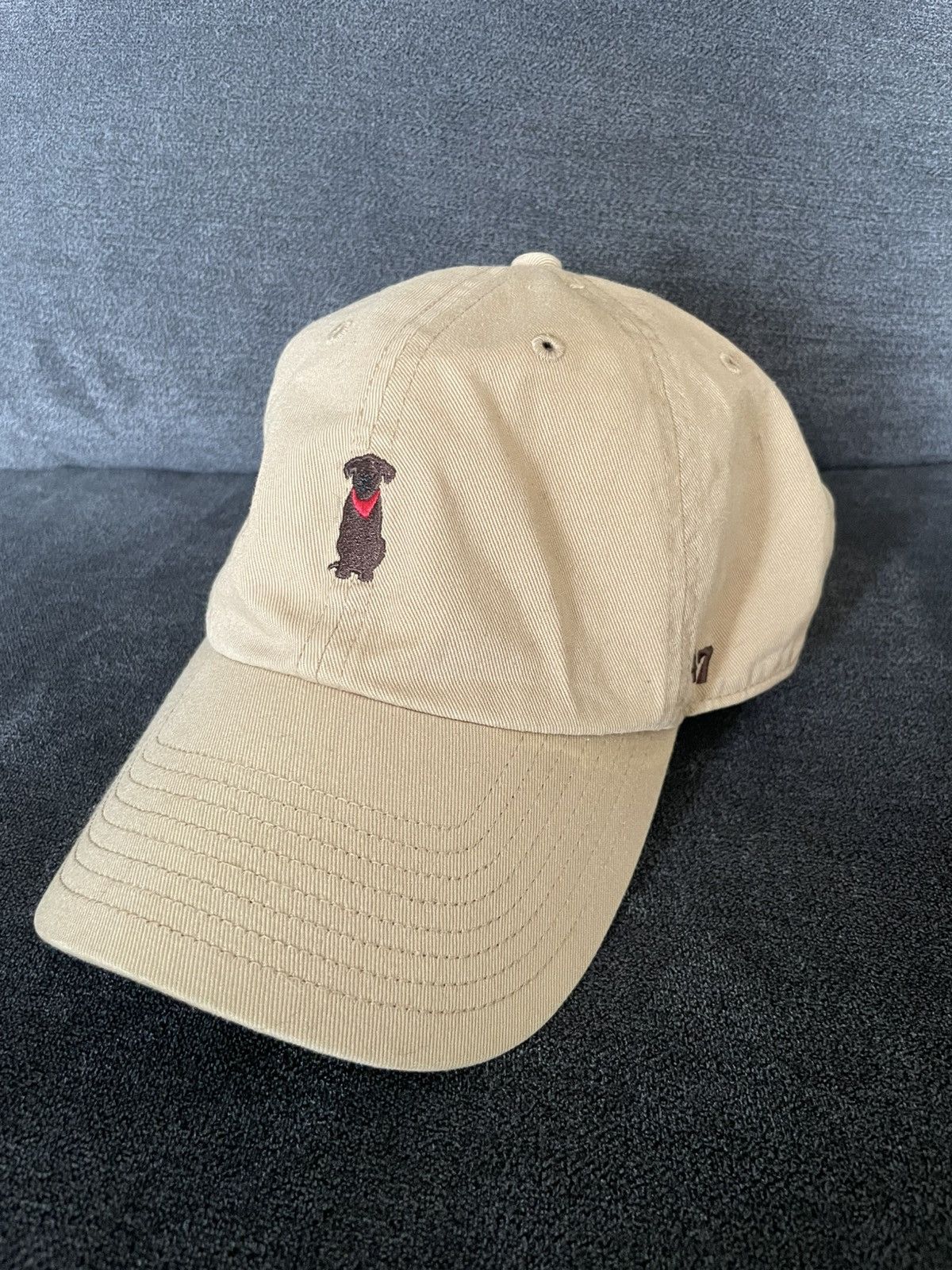 47 Brand Chocolate lab 47 brand hat Size ONE SIZE - 1 Thumbnail
