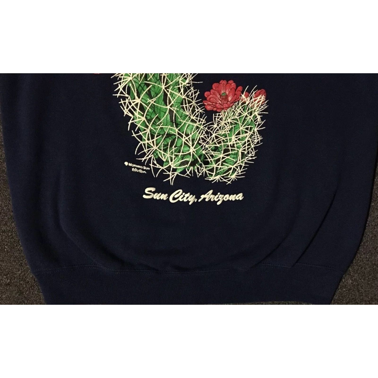 Vintage Vtg 80s Arizona Faded Cactus Sweatshirt S USA Flower Cowboy Bird Nature Grunge Animal Hoodie Men Blue уст Size US S / EU 44-46 / 1 - 3 Thumbnail