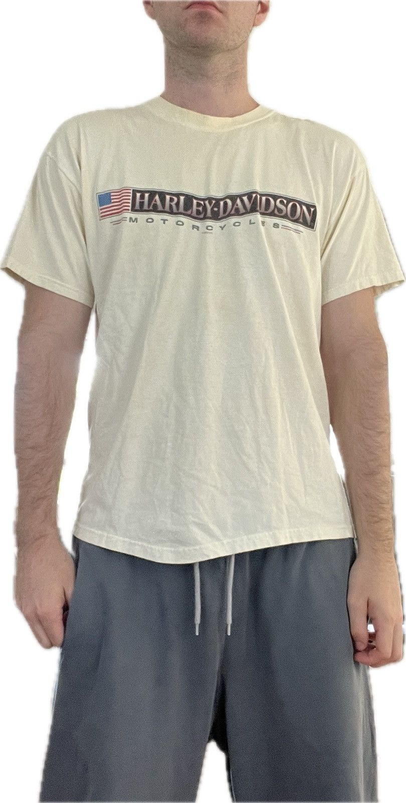 Harley Davidson Vintage 2002 Cream Logo T Shirt Gainesville Florida Size US L / EU 52-54 / 3 - 10 Thumbnail