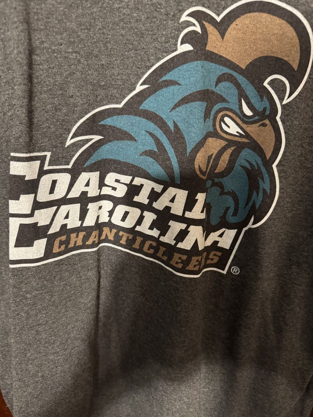 The Unbranded Brand Coastal Carolina Chanticleers T-Shirt Gray NCAA Men Size XL Size US XL / EU 56 / 4 - 3 Thumbnail