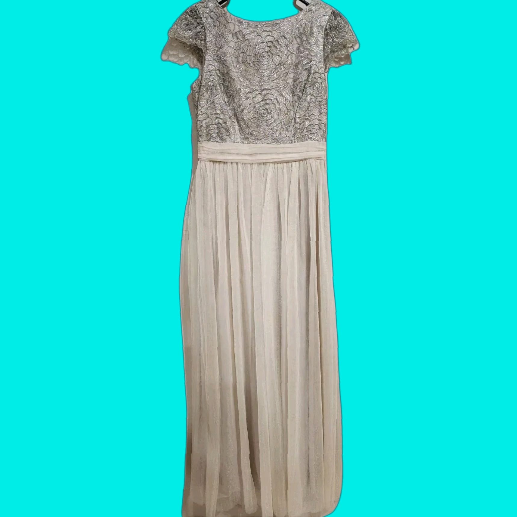 Alex Evenings Dress Embroidered Shimmer Glitter Tulle Flowy Flattering Sz 6