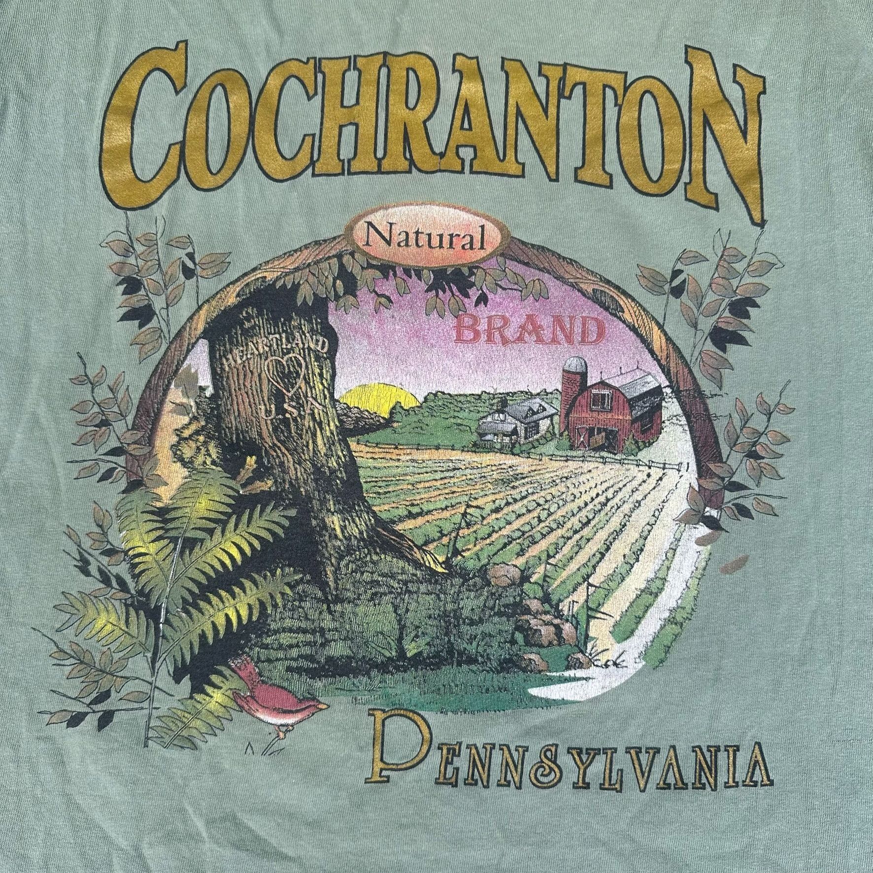 Vintage Vintage 90s Cochranton Pennsylvania Landscape T-Shirt Green Size US L / EU 52-54 / 3 - 2 Thumbnail