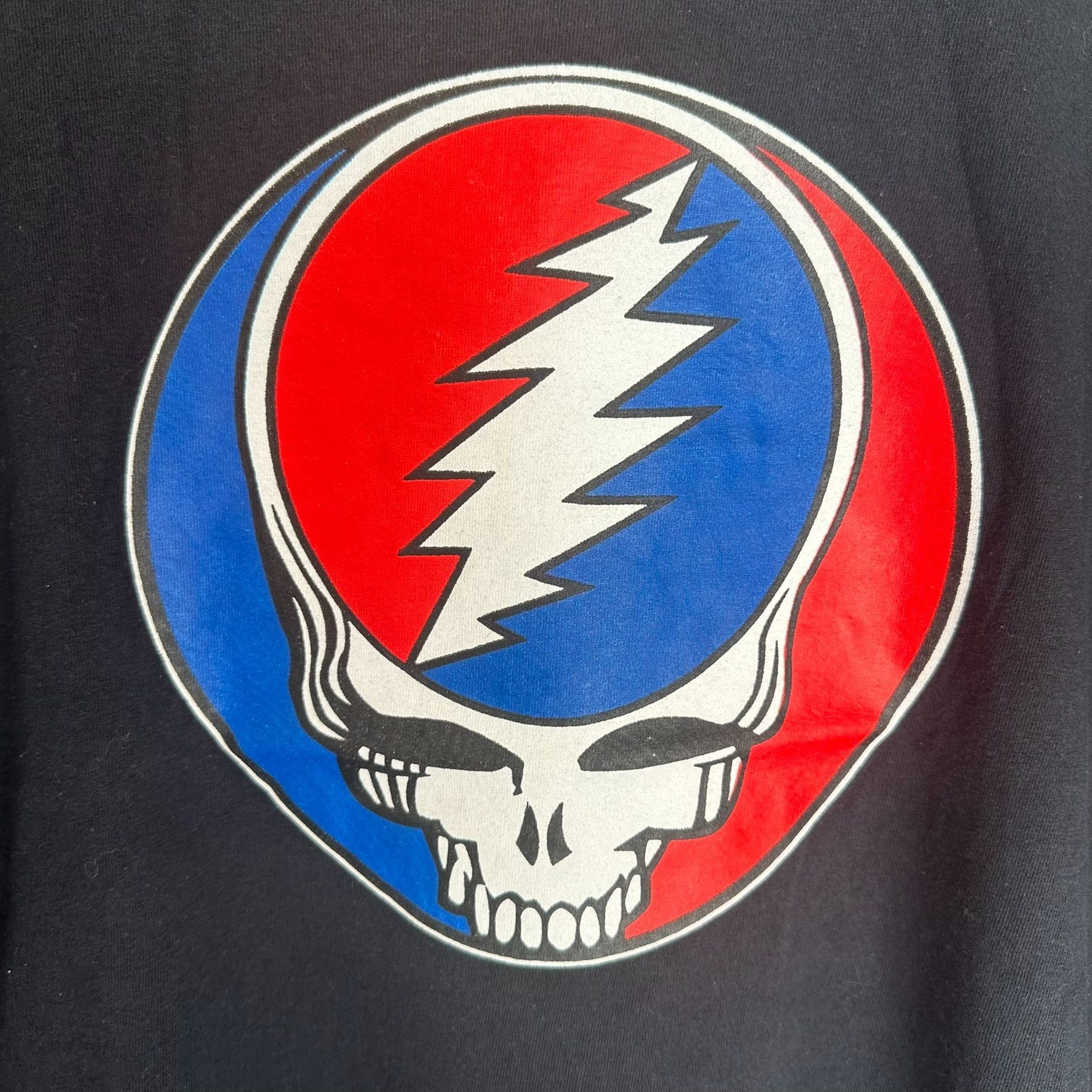 Grateful Dead Vintage Y2K Grateful Dead Stealie Skull Band T-Shirt Grunge Size US L / EU 52-54 / 3 - 2 Thumbnail