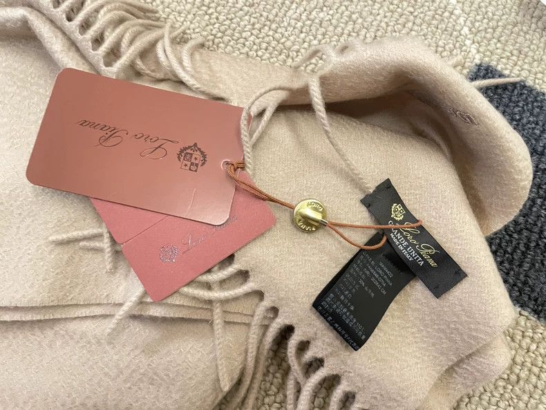 Loro Piana LORO PIANA Goat velvet scarf Size ONE SIZE - 5 Thumbnail