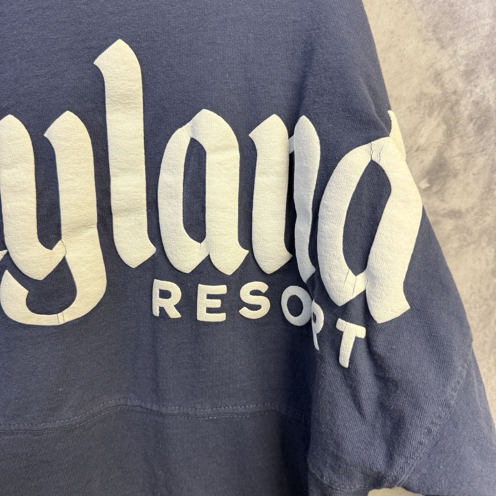 Disney Disneyland Resort Spirit Jersey Adult Small 22x27 Blue Disn Size US S / EU 44-46 / 1 - 6 Thumbnail