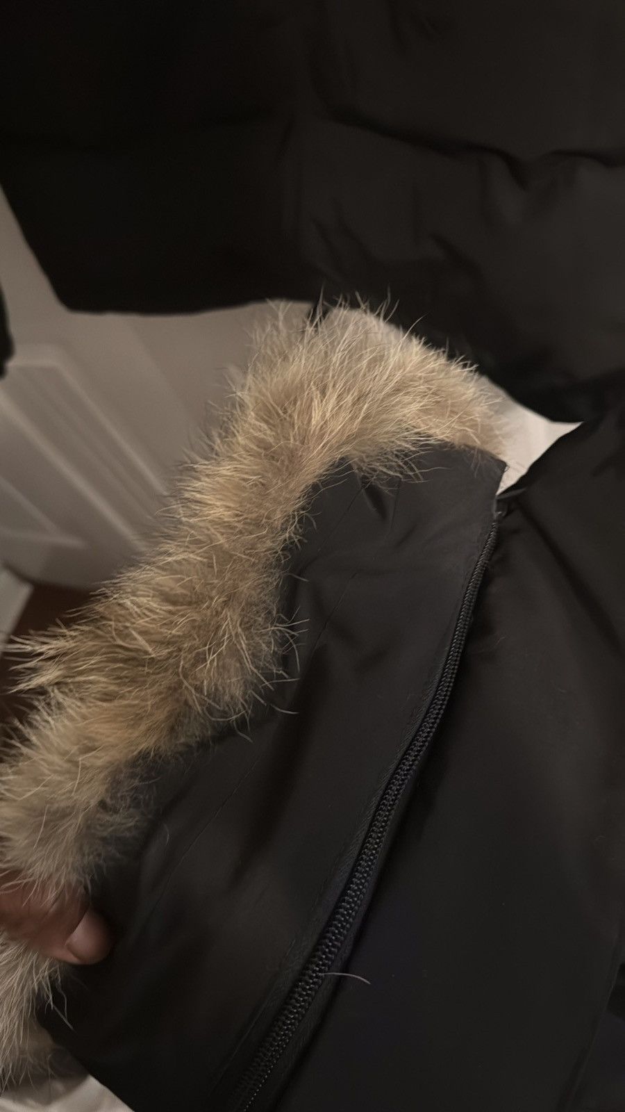 Canada Goose Canada goose coat Size XL / US 12-14 / IT 48-50 - 9 Thumbnail