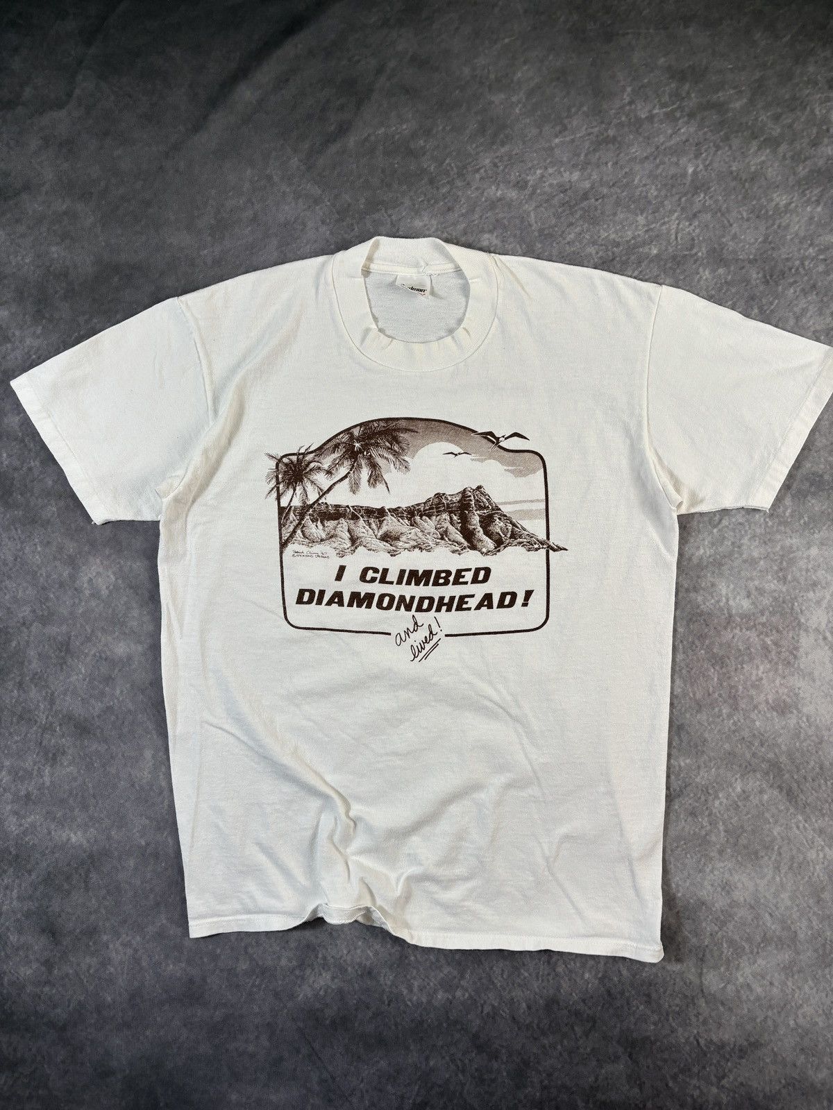 Vintage Vintage I Climbed Diamond Head Tee Made in USA Stedman Size US M / EU 48-50 / 2 - 2 Thumbnail