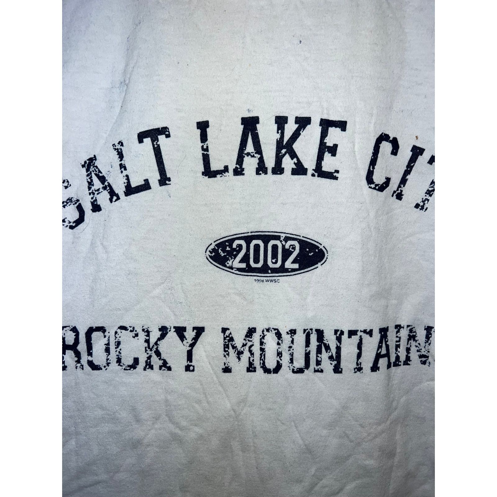 Jerzees Vintage Salt Lake City Shirt Rocky Mountains Tee 2002 Large Size US L / EU 52-54 / 3 - 3 Thumbnail