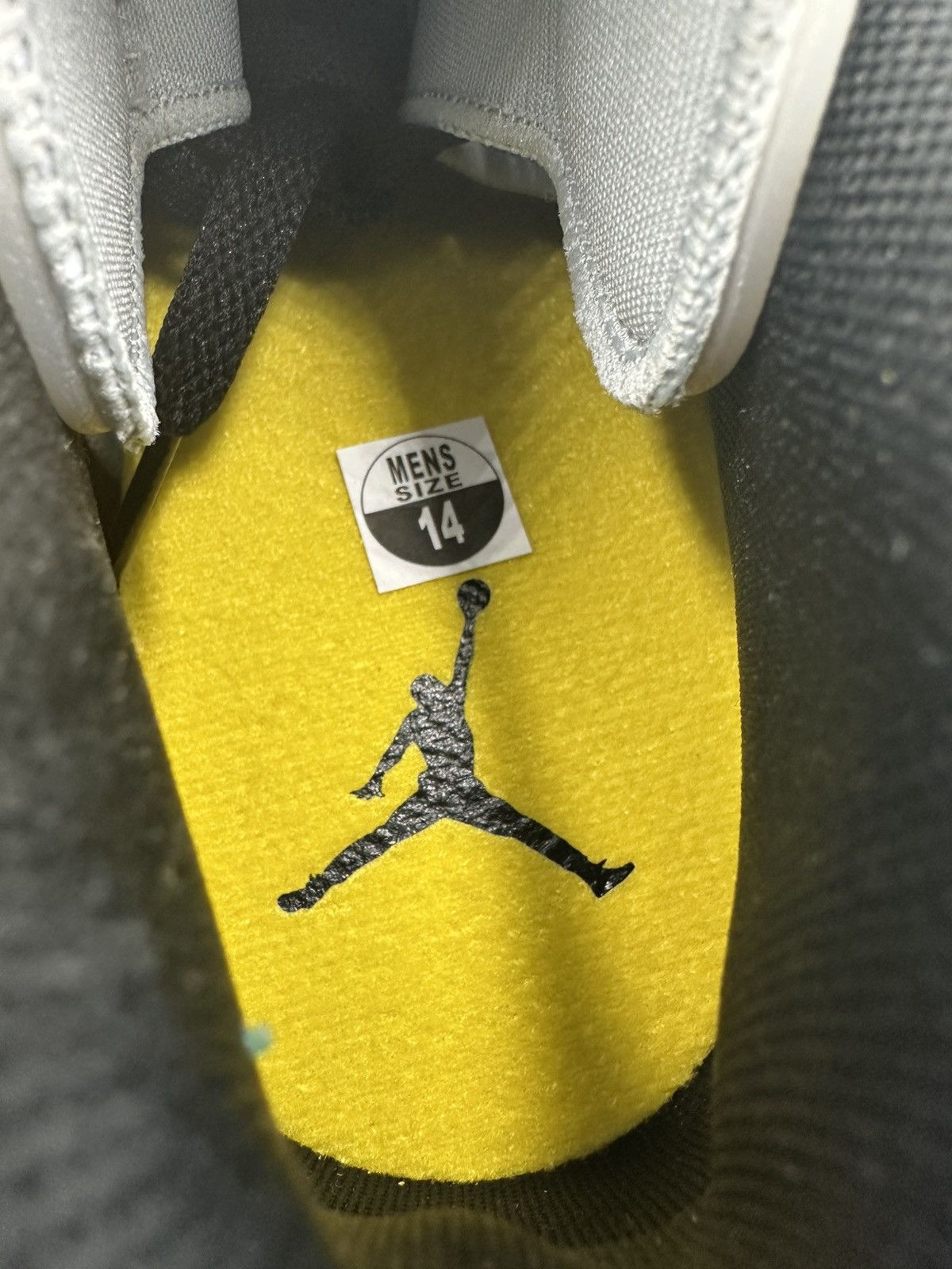 Jordan Brand Jordan Spizike Low Size US 14 / EU 47 - 23 Thumbnail
