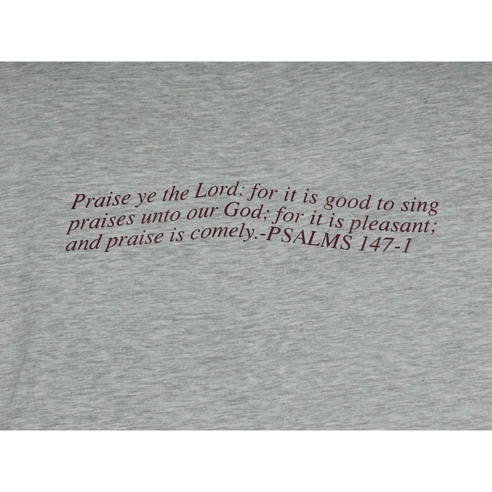 Hanes USA Praise Takin It to the Streets Gospel Shirt Large Size US L / EU 52-54 / 3 - 5 Thumbnail