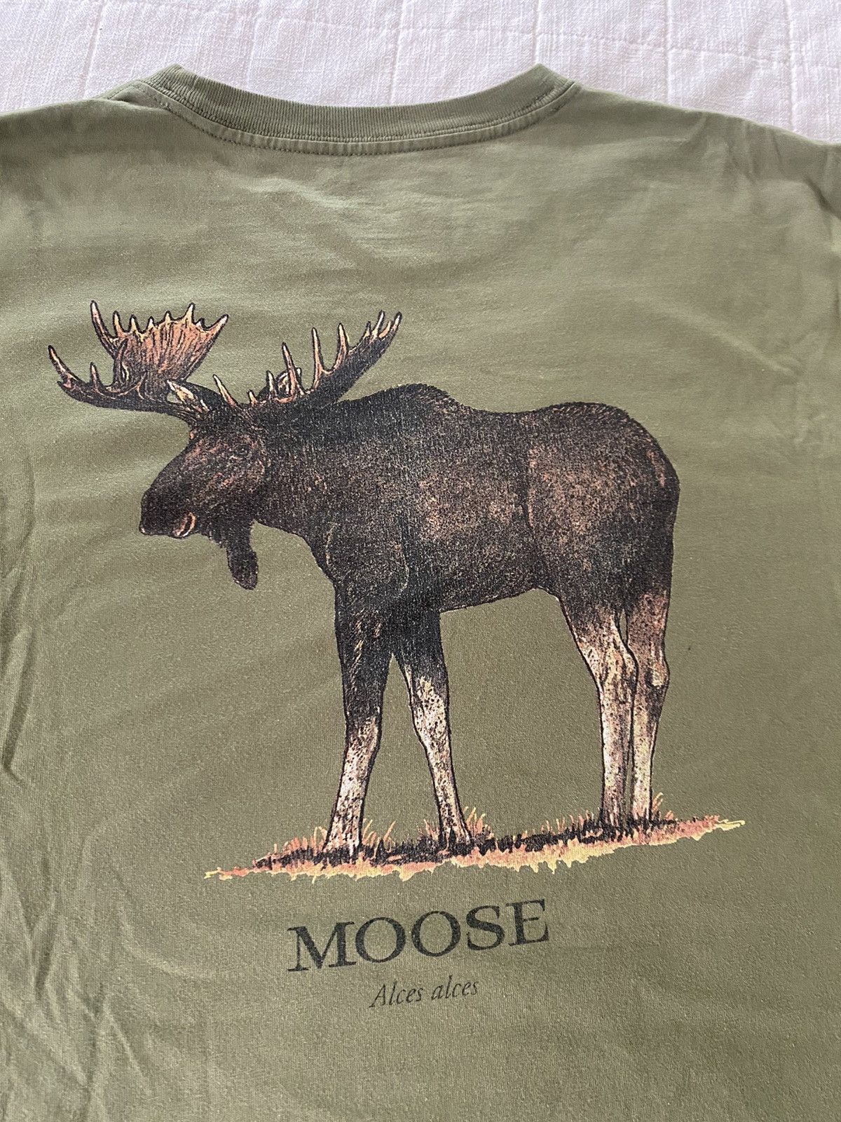 L.L. Bean × Vintage Moose t shirt L Size US L / EU 52-54 / 3 - 2 Thumbnail
