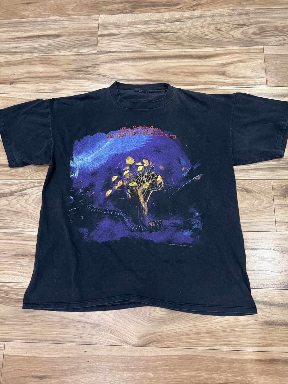 Vintage 1993 Moody Blues Band Tee Size US XL / EU 56 / 4 - 1 Thumbnail