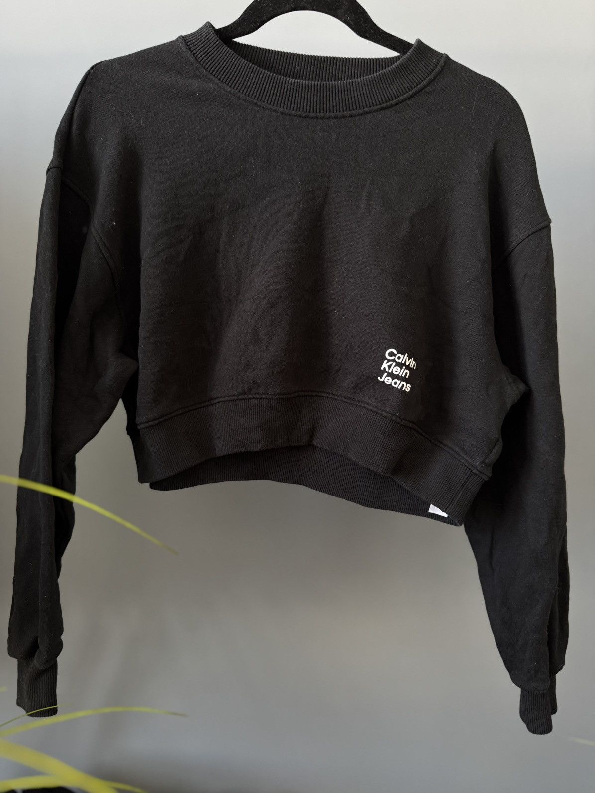 Calvin Klein crop hoodie big logo