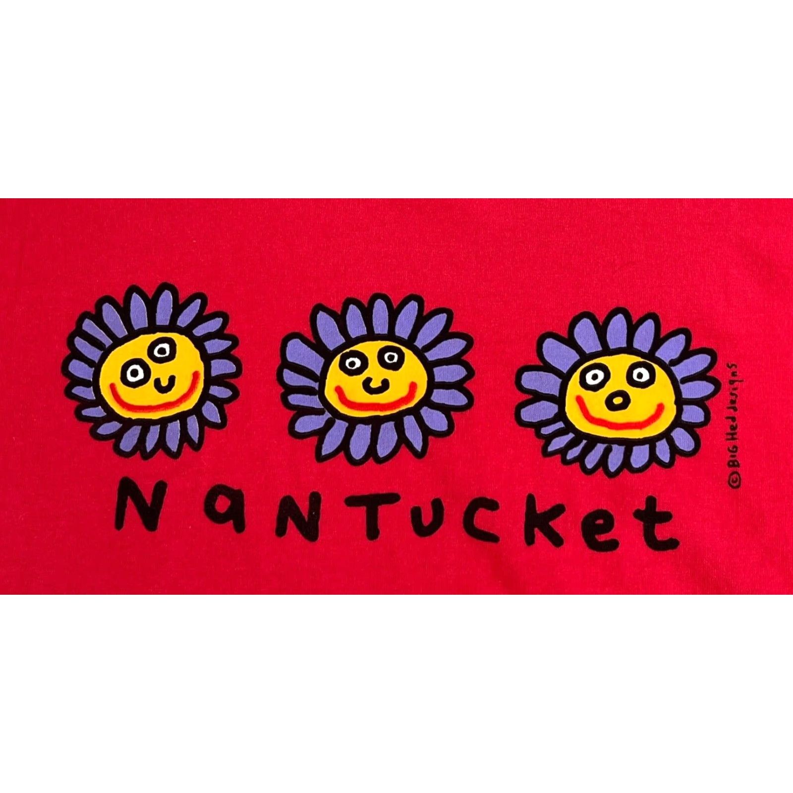 Vintage VINTAGE Nantucket Big Hed Designs Oneita T-Shirt XL Pink Unisex Adults 90s Crew Neck Short Sleeve Graphic Print Mens Womens Boys Girls 90s Nature Size US XL / EU 56 / 4 - 4 Thumbnail