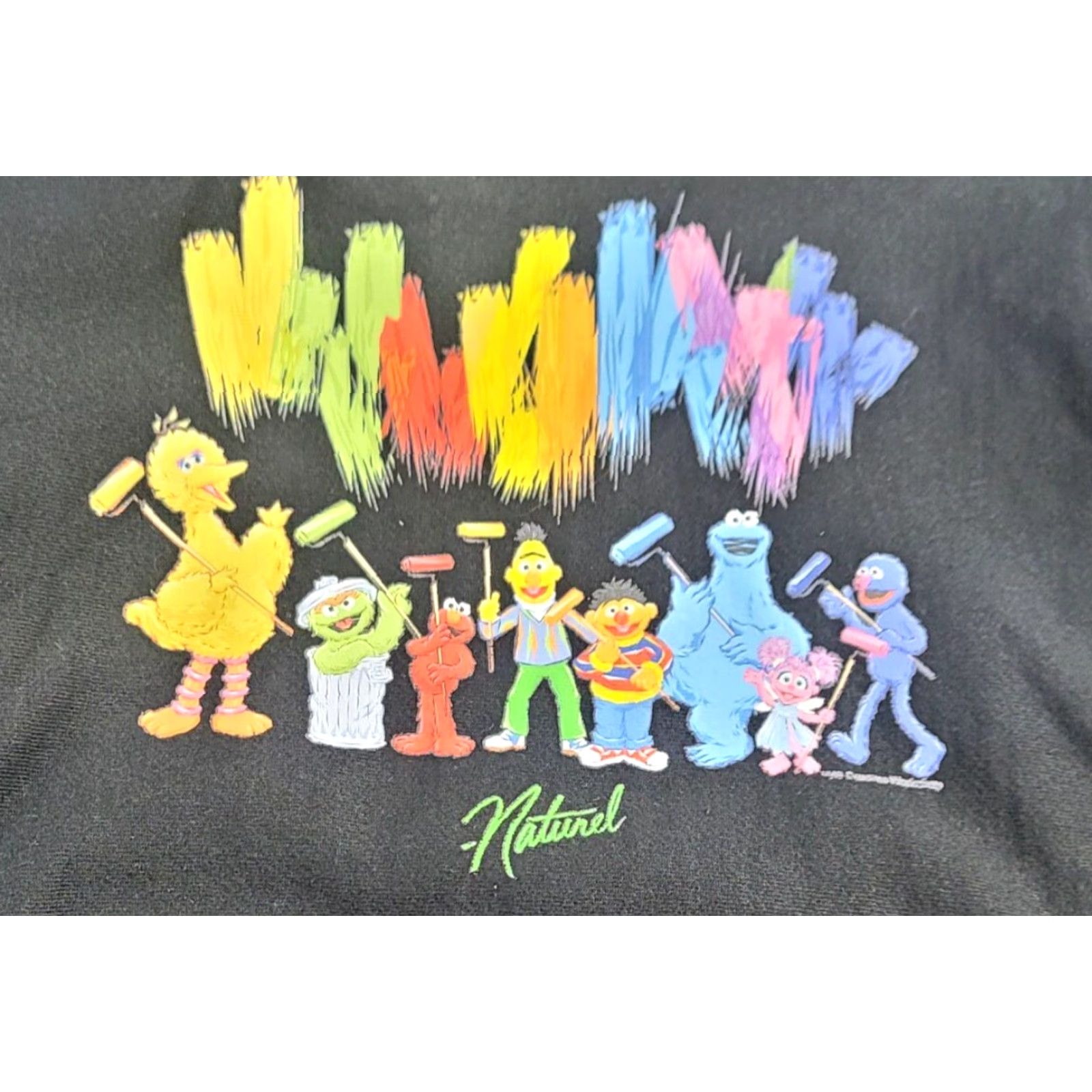 Champion Champion Reverse Weave Hoodie Mens M Black Graphic Print Logo 90s Cartoon Sesame Street - Shirt not applicable Size US M / EU 48-50 / 2 - 4 Thumbnail