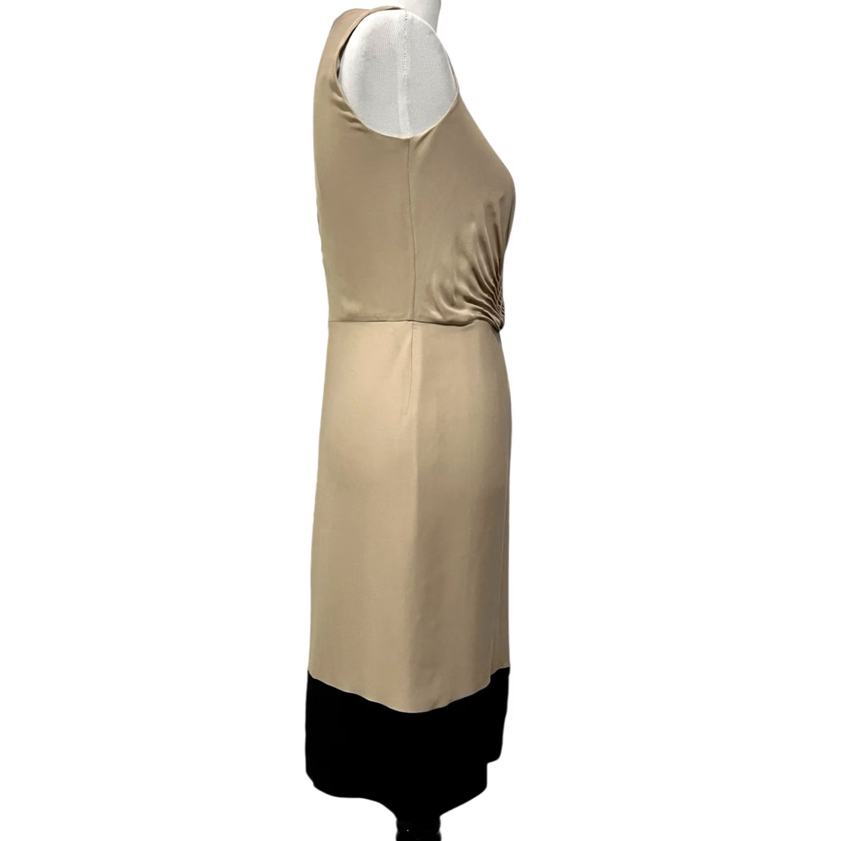 Diane von Furstenberg Diane von Furstenberg Kayley Silk Cinched Accent Tan Black Sheath Dress Sz 4 Size S / US 4 / IT 40 - 7 Thumbnail