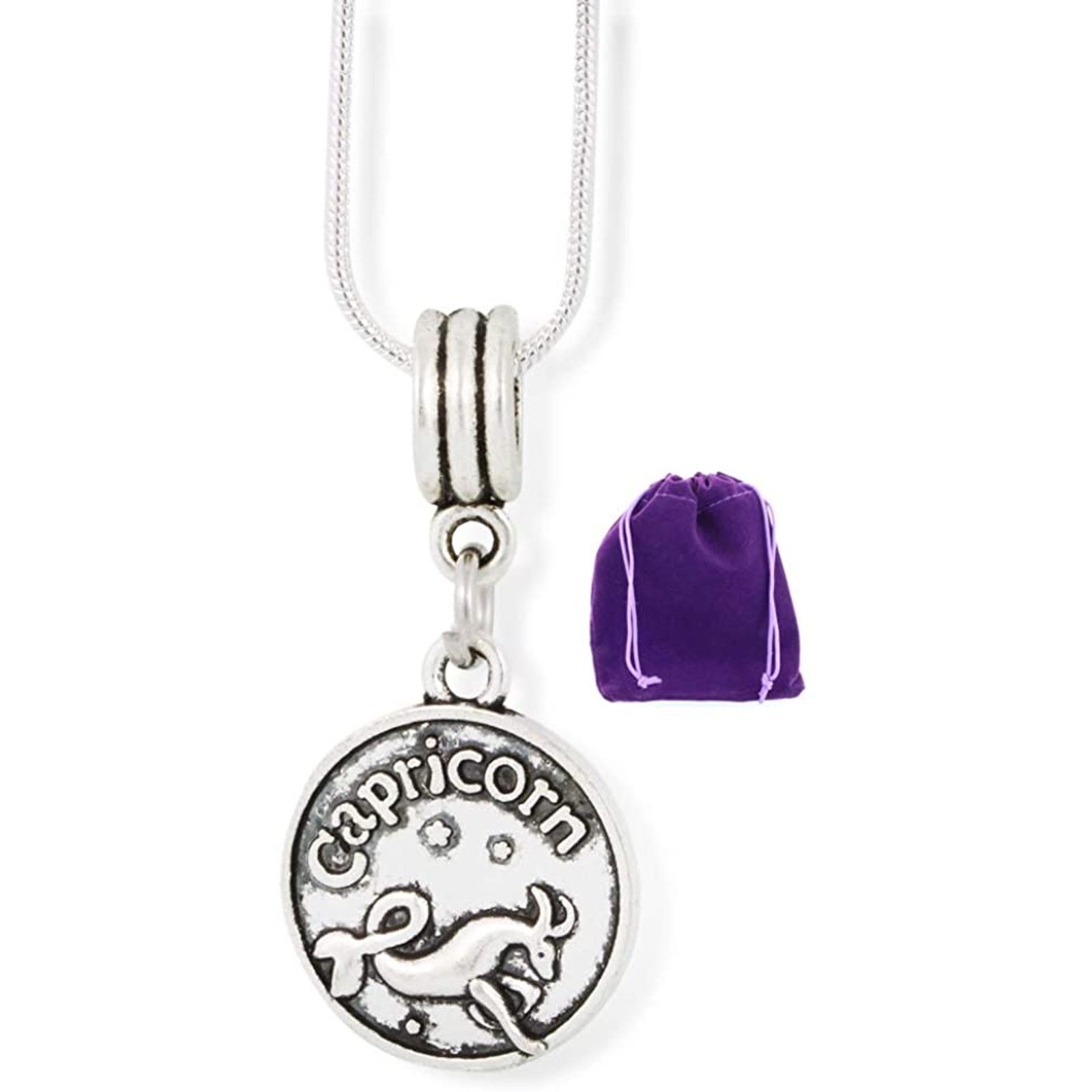 & Other Stories Capricorn Necklace Zodiac Astrology Horoscope Size ONE SIZE - 1 Thumbnail