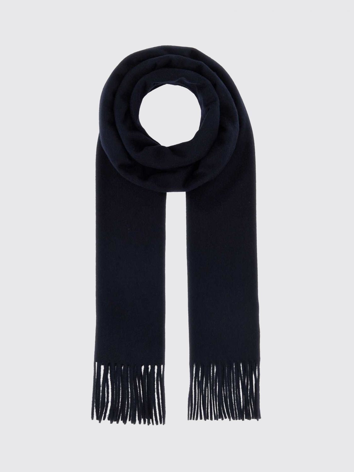 Max Mara Max Mara Scarf Woman Blue Size ONE SIZE - 1 Thumbnail