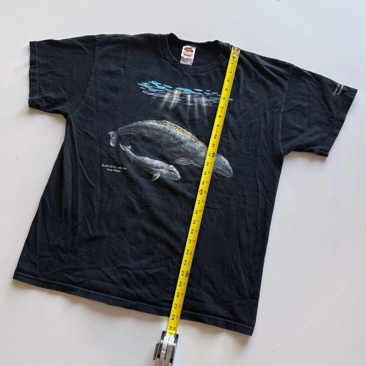 Vintage 2001 Vintage Y2K Grey Whale Nature Tee Size US XL / EU 56 / 4 - 7 Thumbnail