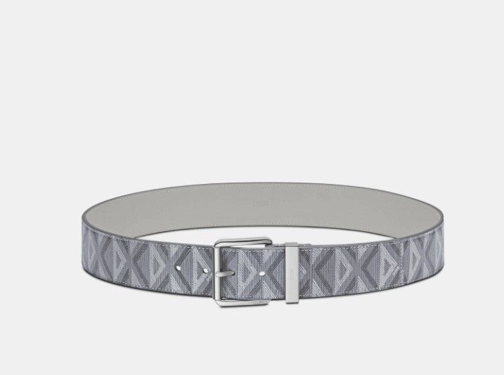 Dior o1w1db10425 4423PLC Size: OS / Belt in Grey Size ONE SIZE - 1 Thumbnail