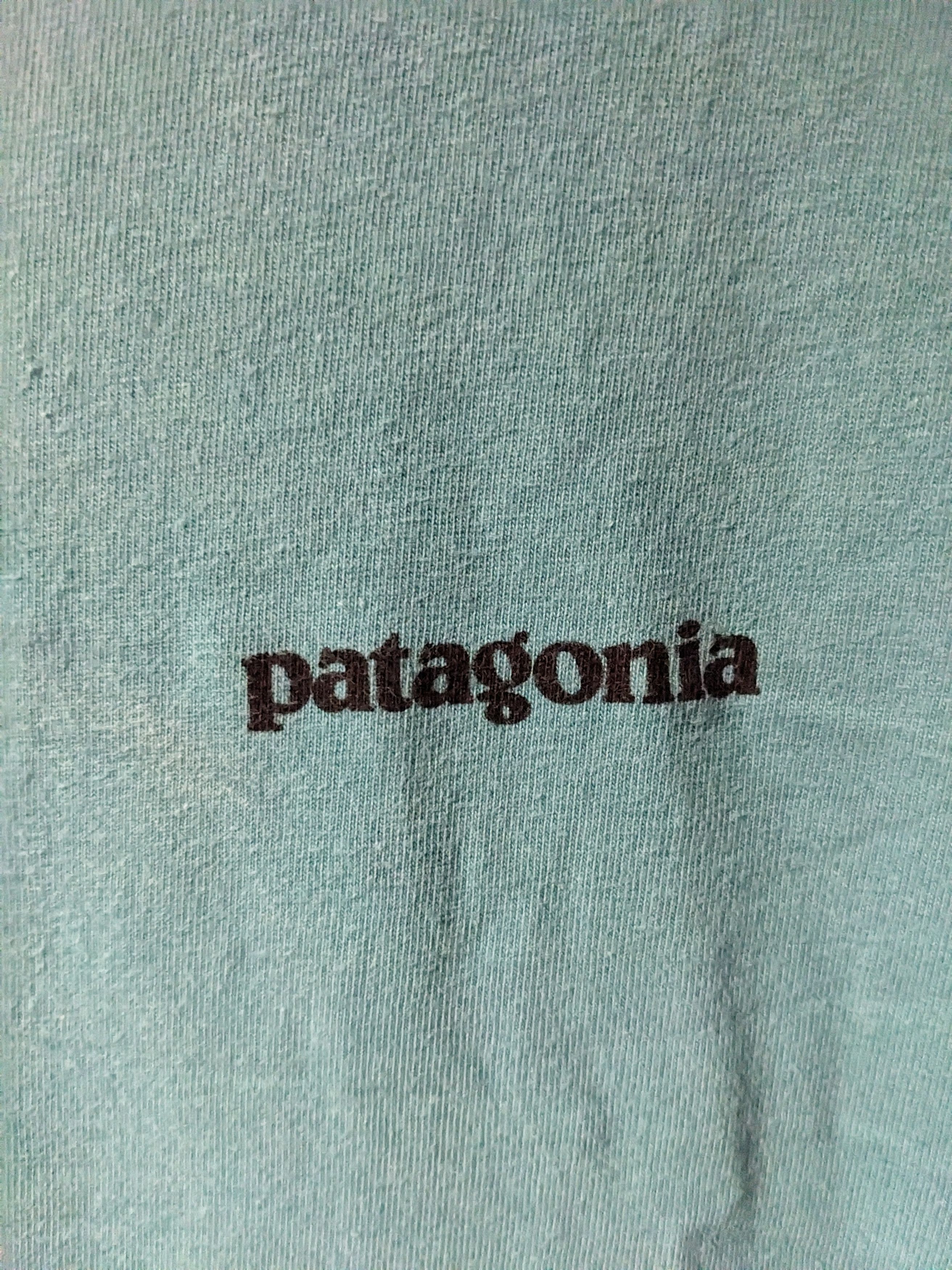 Designer × Patagonia Patagonia Regular Fit Logo Blue Medium T-Shirt Size US M / EU 48-50 / 2 - 4 Thumbnail