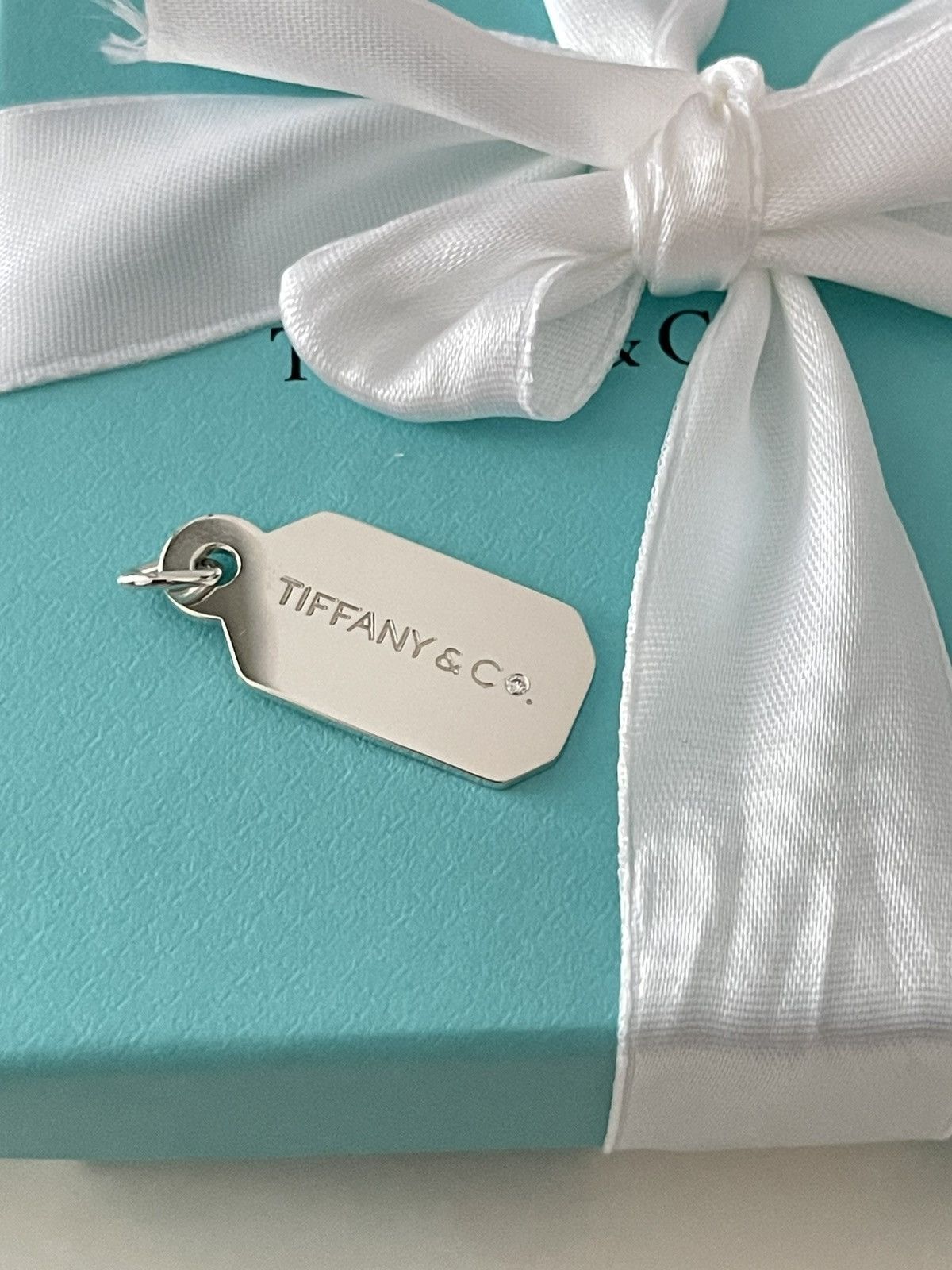 Tiffany & Co. Tiffany & Co. Dog tag with Diamond in Sterling Silver NEW Size ONE SIZE - 1 Thumbnail