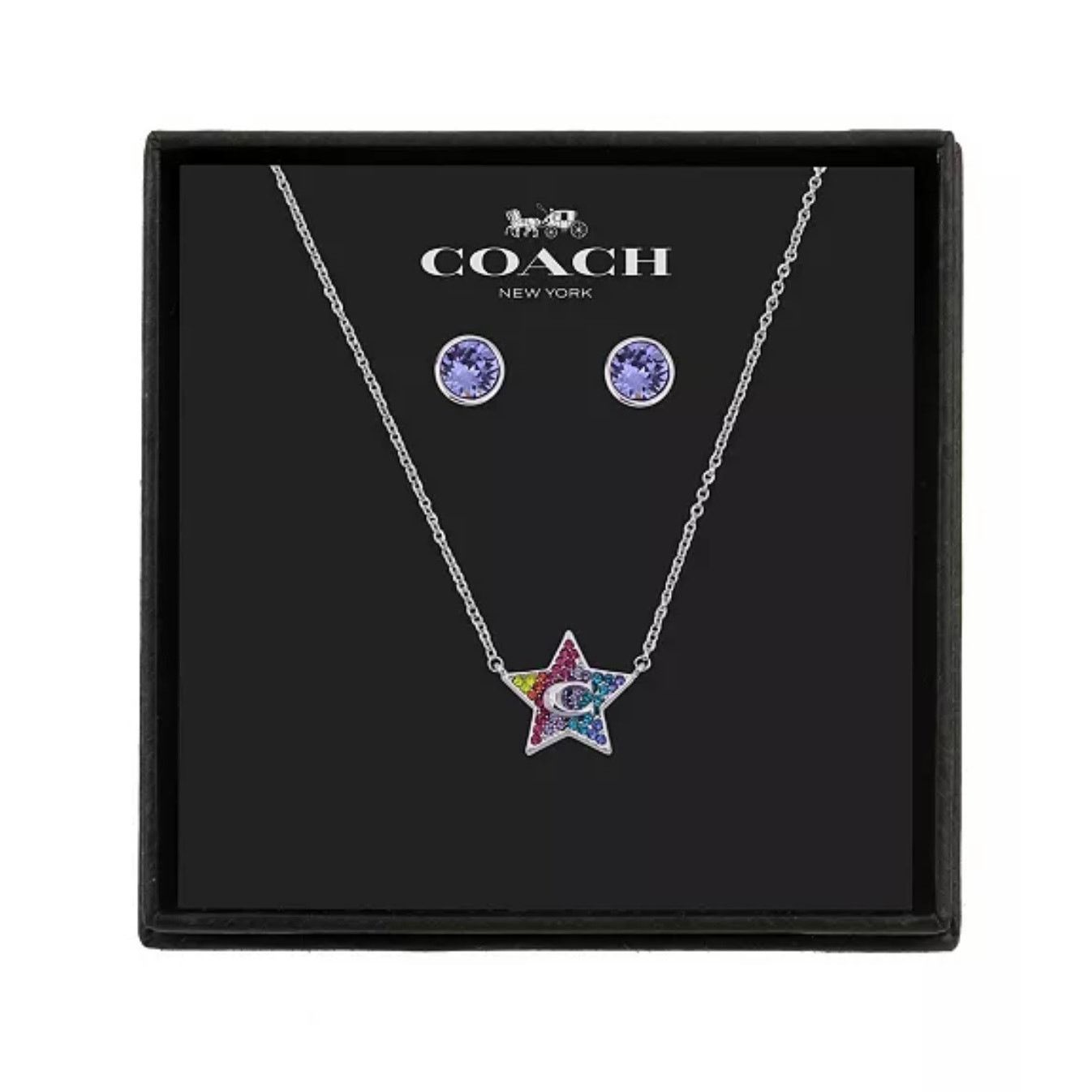 COACH Star Necklace and Stud Earrings Set 16